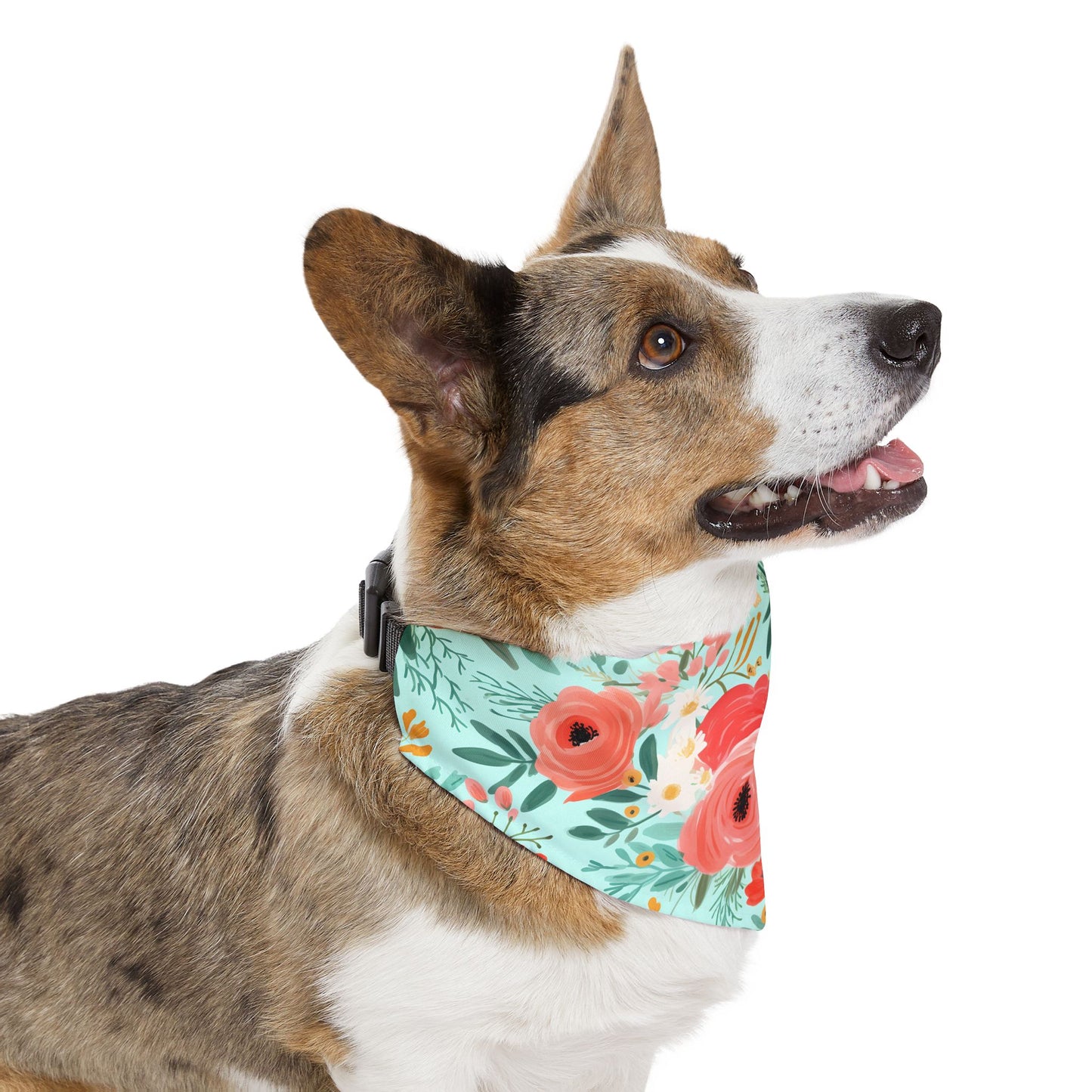 Coral Floral Pet Bandana Collar