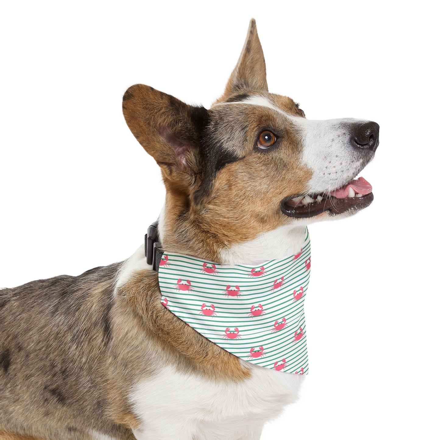 Cute Crabs Pet Bandana Collar