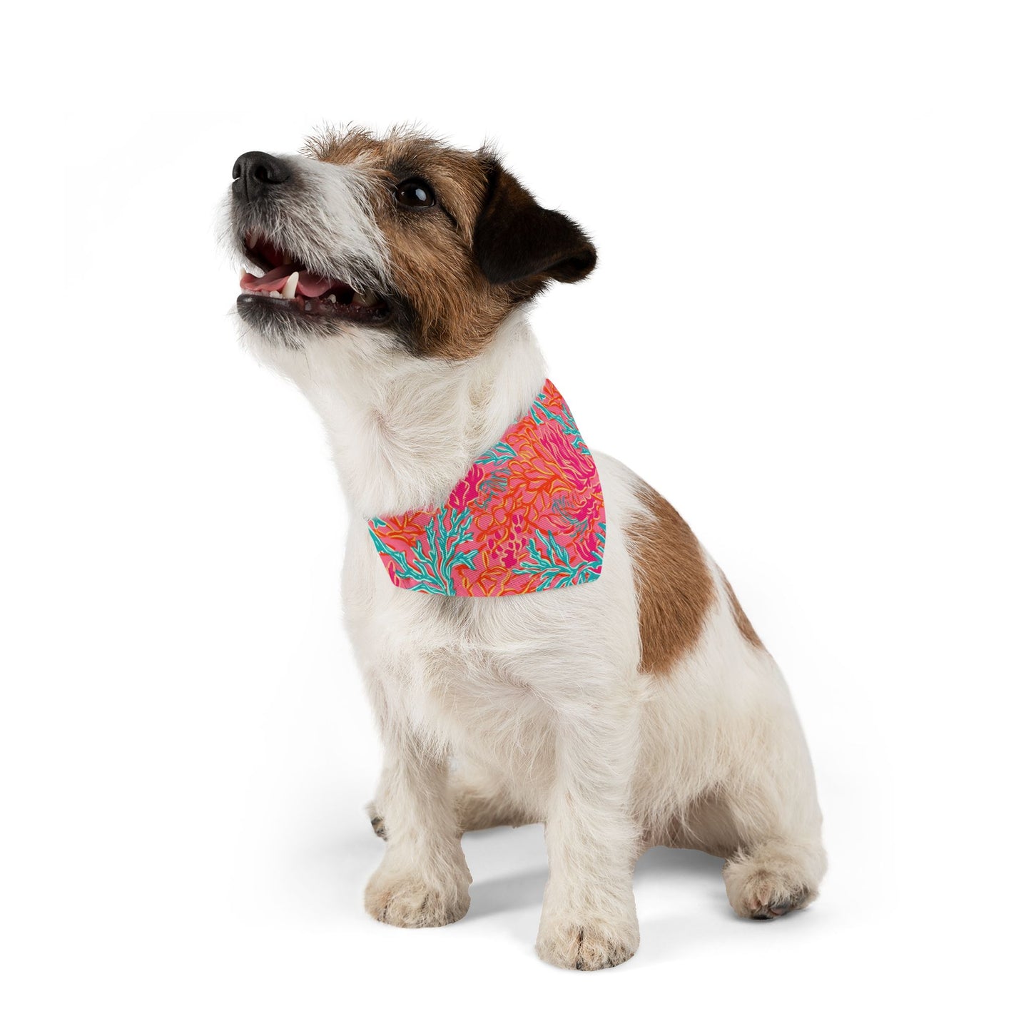 Coral Pet Bandana Collar