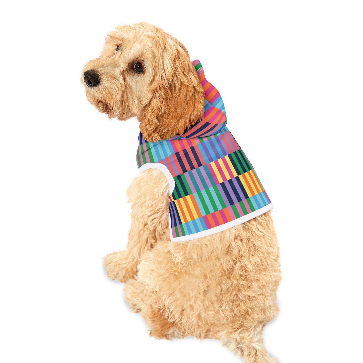 Color Blocks Pet Hoodie