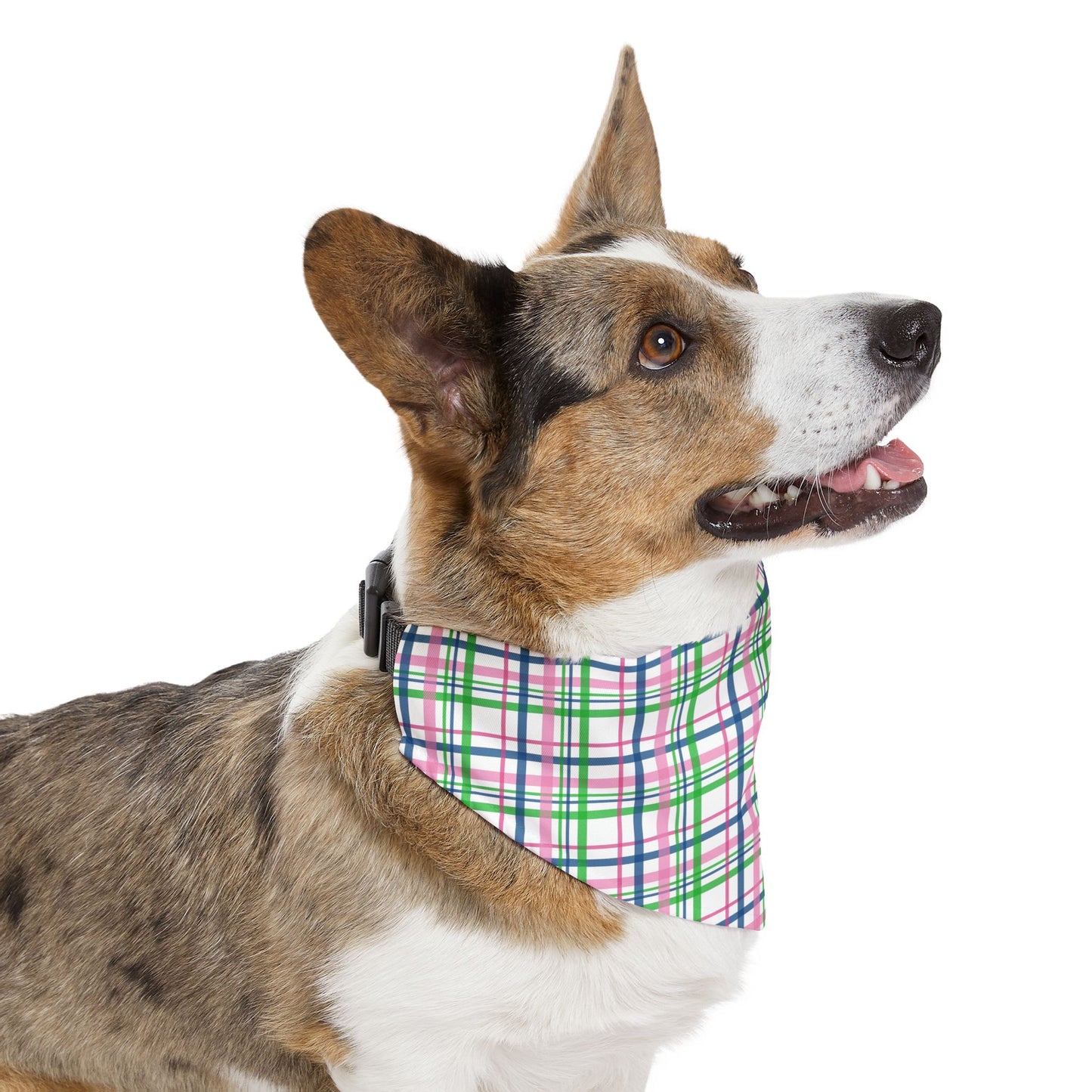 Pink Plaid Pet Bandana Collar