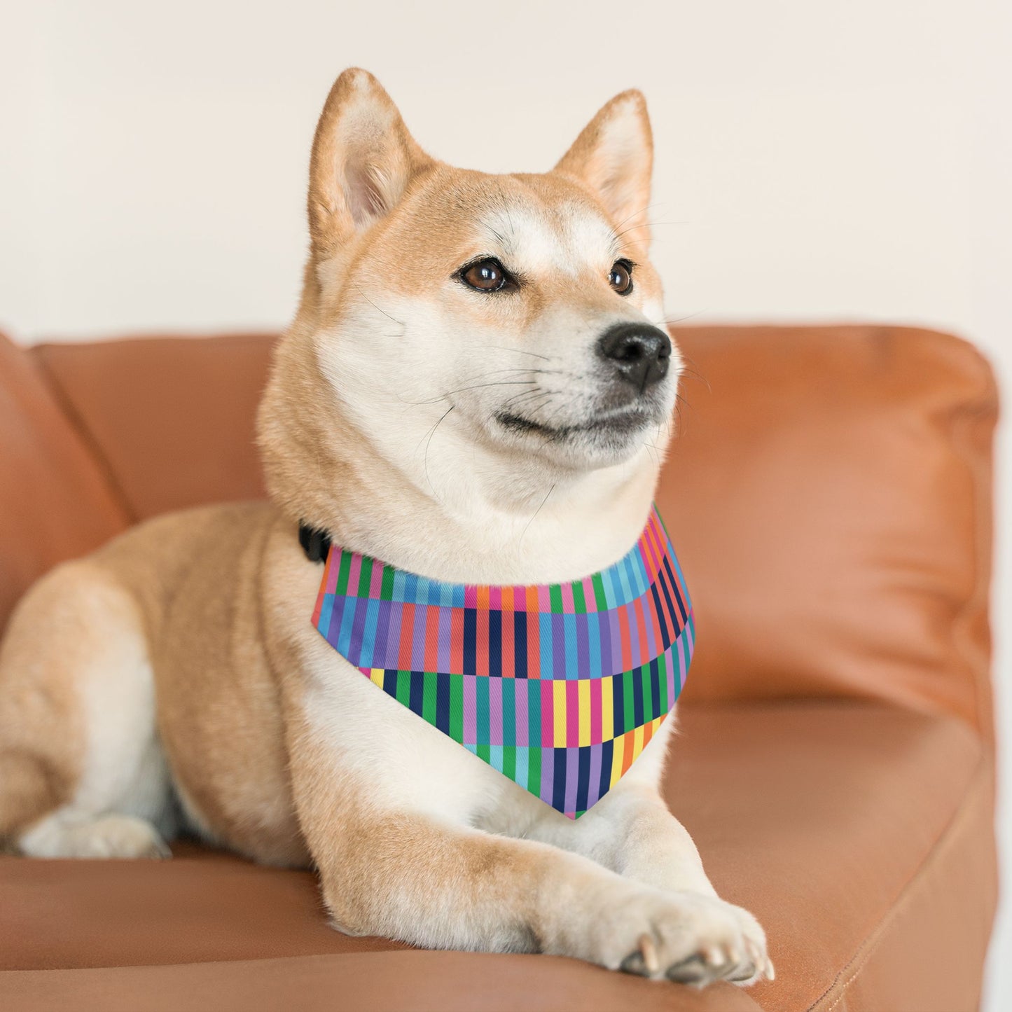 Color Blocks Pet Bandana Collar