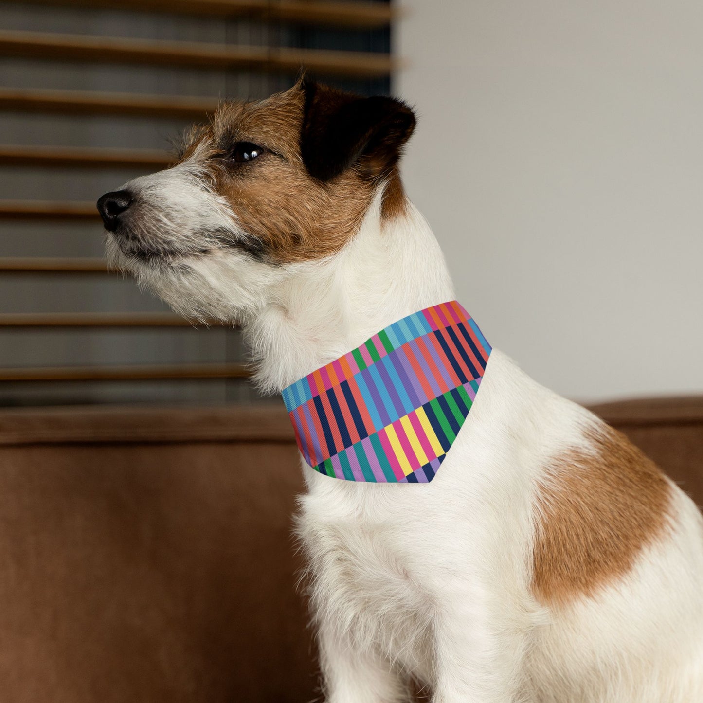 Color Blocks Pet Bandana Collar