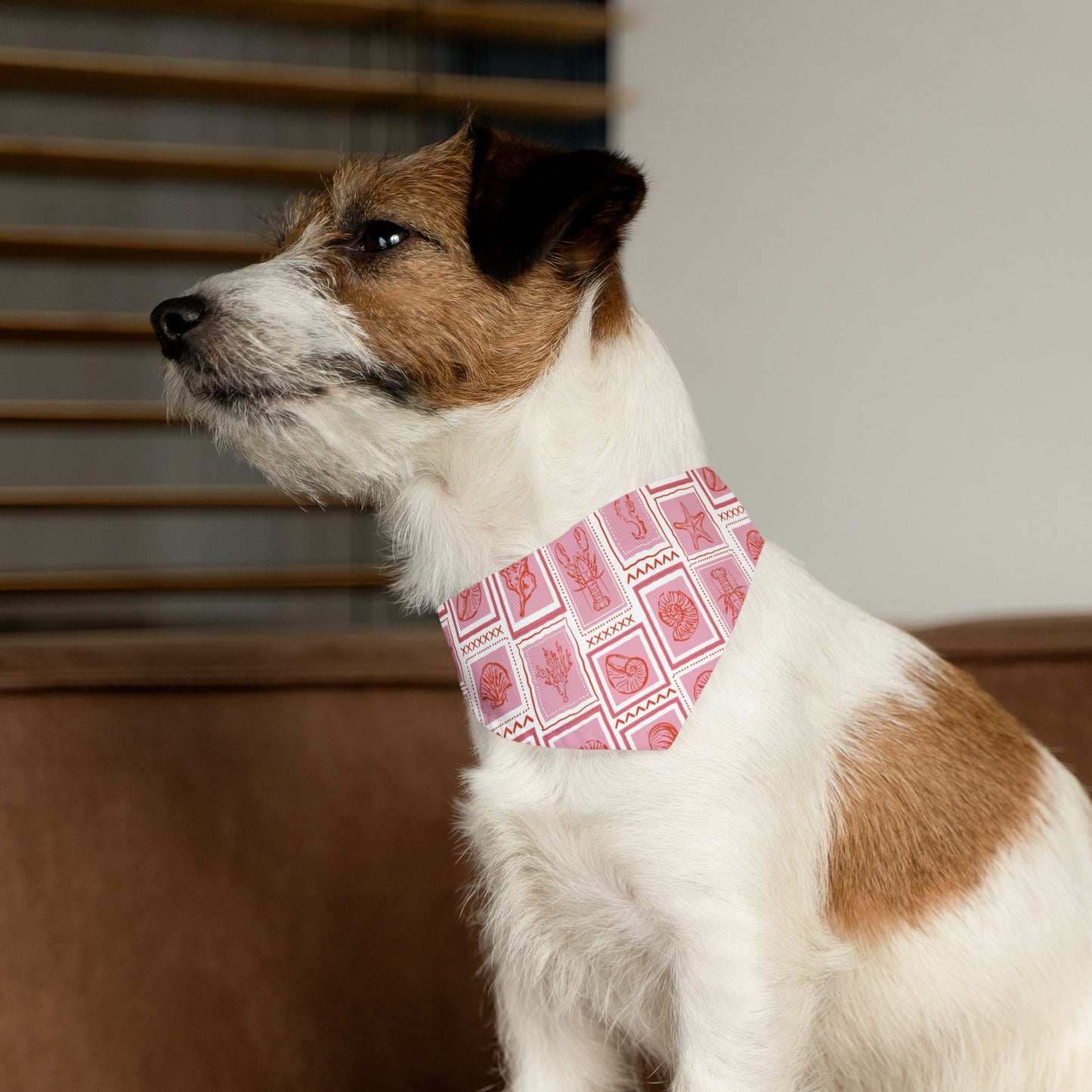 Marine Life Pet Bandana Collar