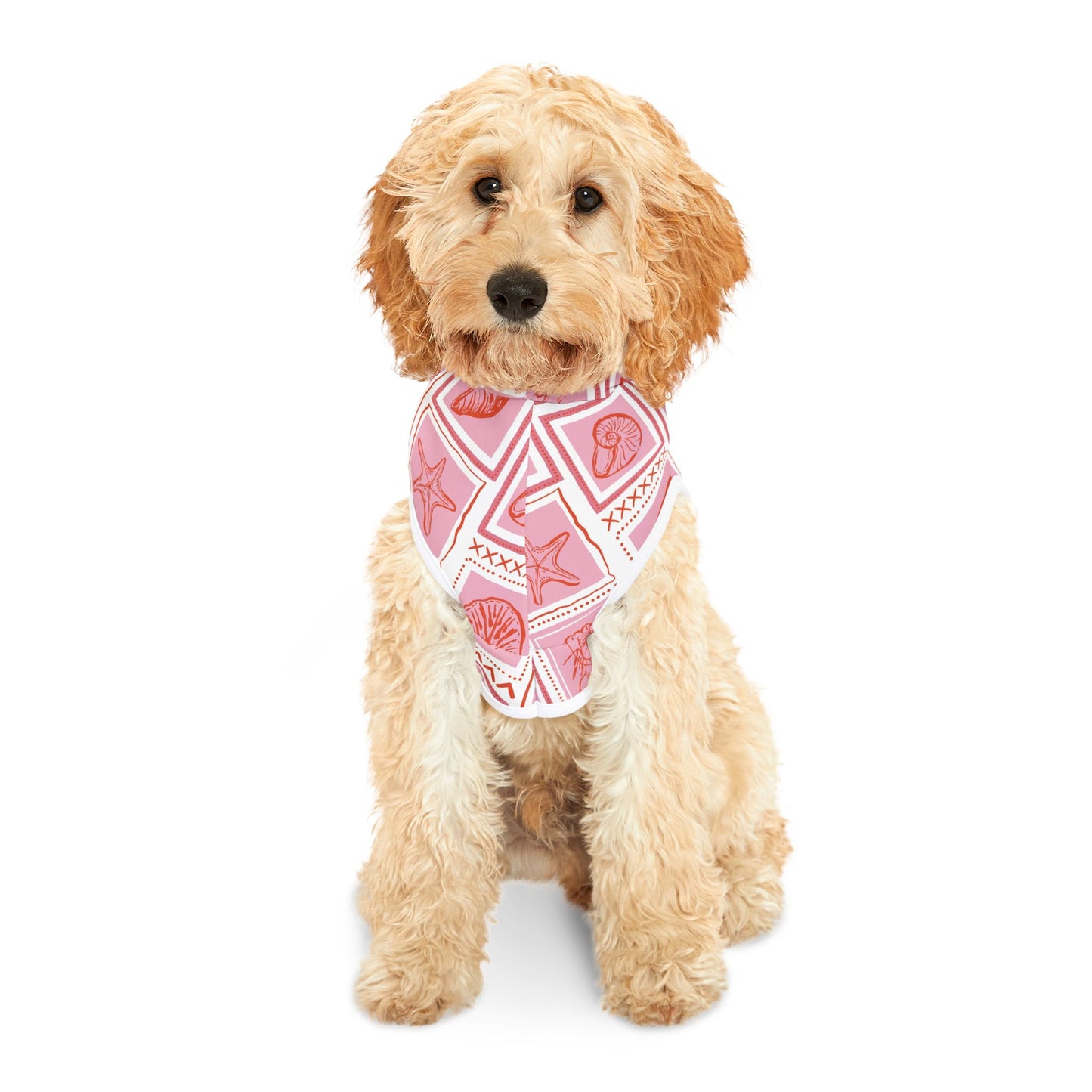 Marine Life Pet Hoodie