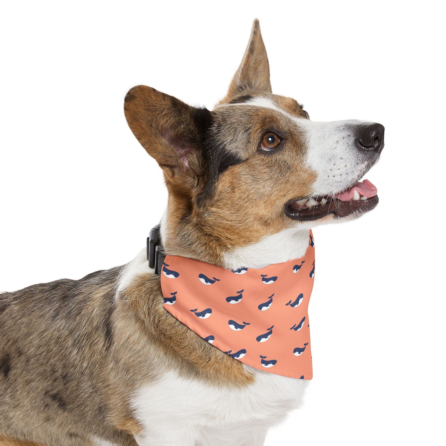 Whimsical Whales Pet Bandana Collar