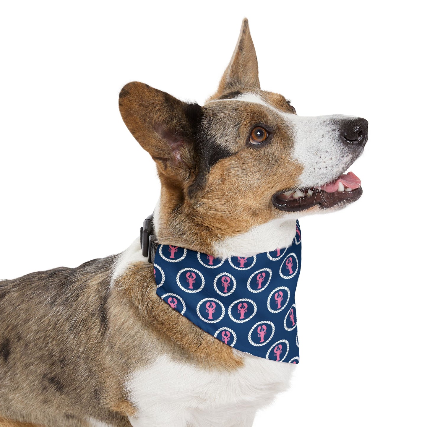 Preppy Lobster Pet Bandana Collar