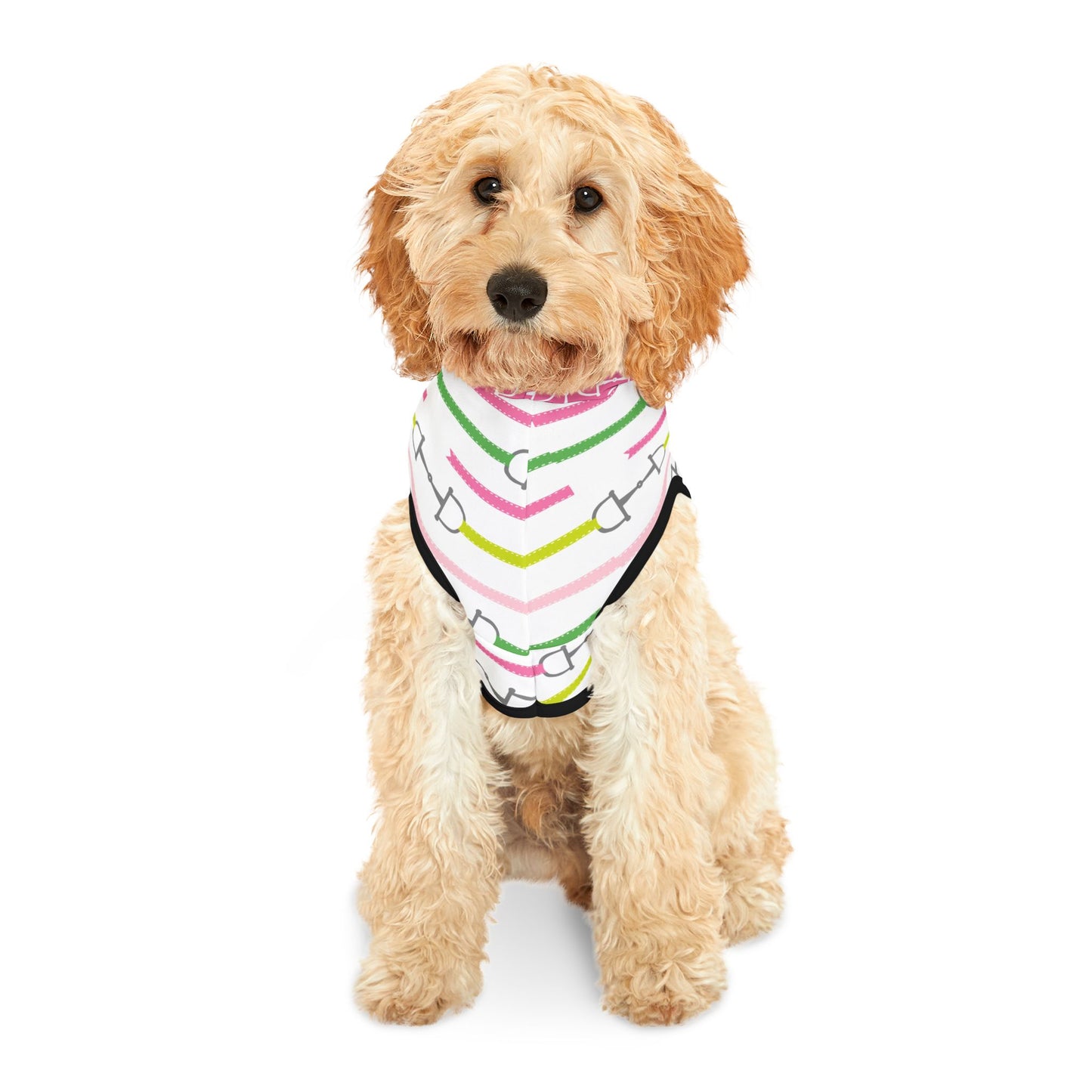 Equestrian Pet Hoodie