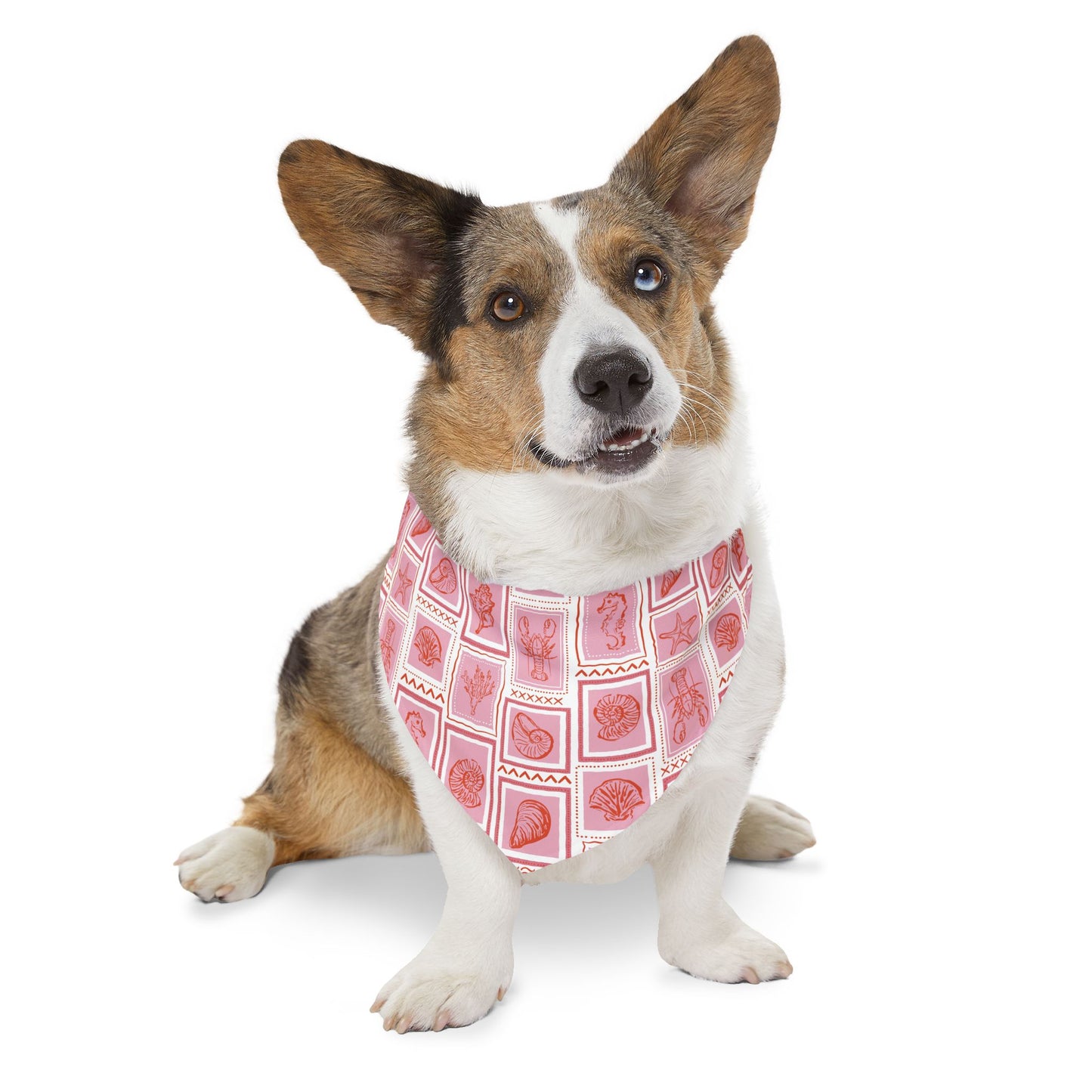 Marine Life Pet Bandana Collar
