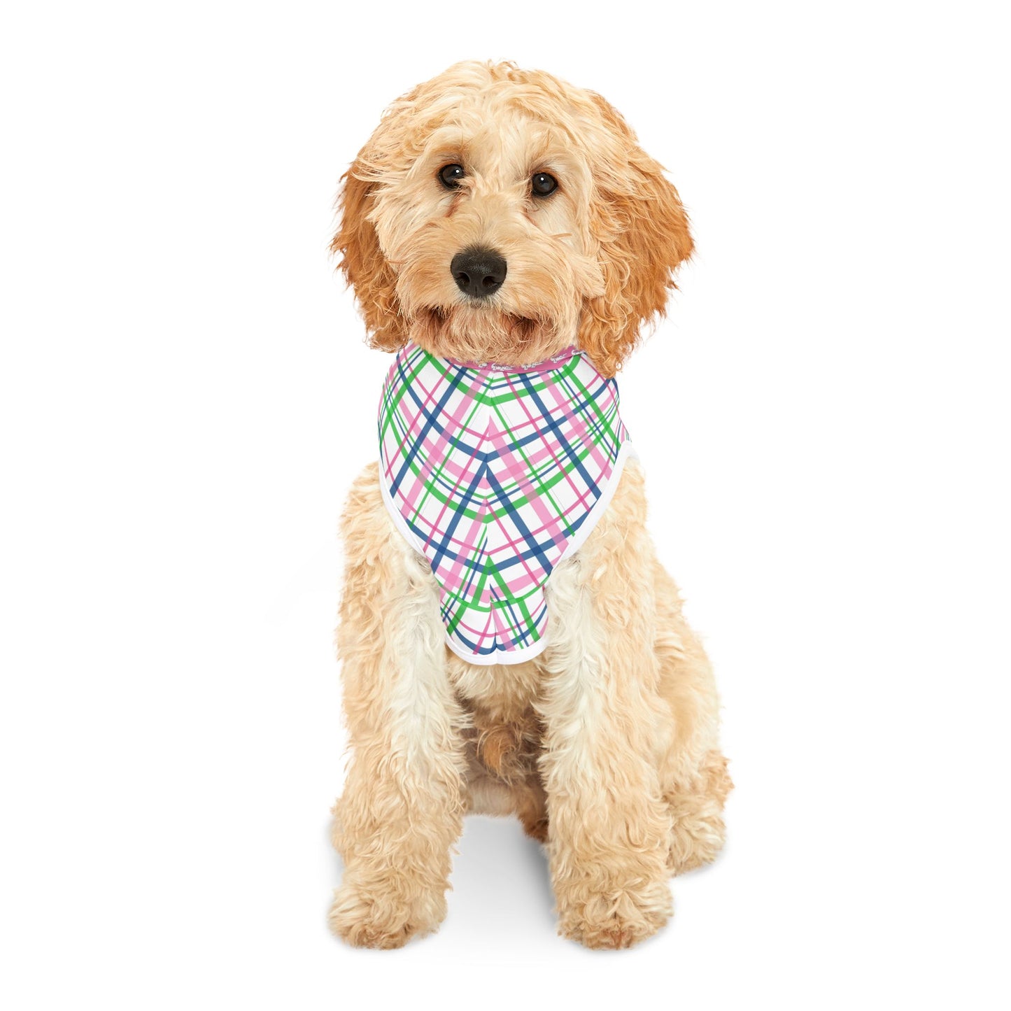Gator Plaid Pet Hoodie
