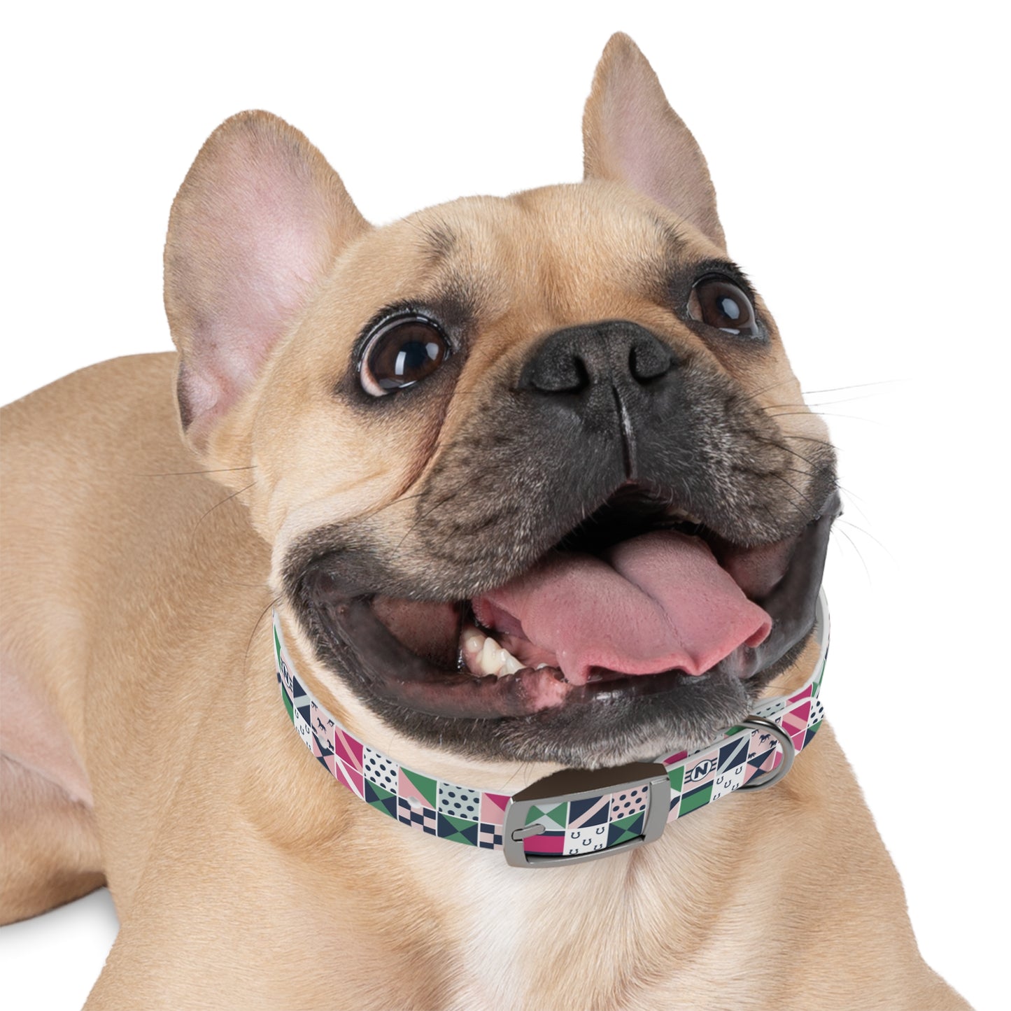 Equestrian Patchwork Dog Collar
