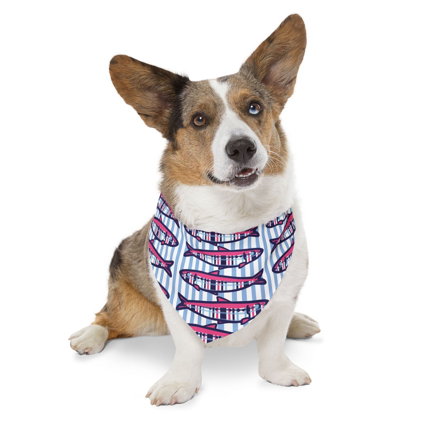Plaid Sardines Pet Bandana Collar
