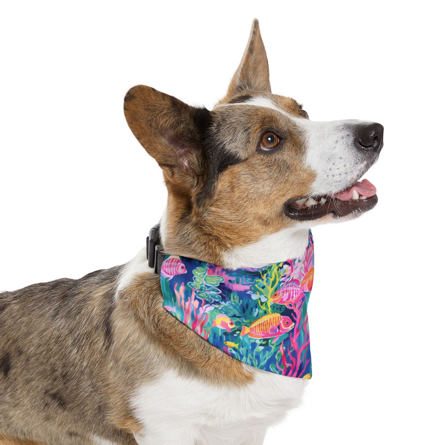 Watercolor Fish Pet Bandana Collar