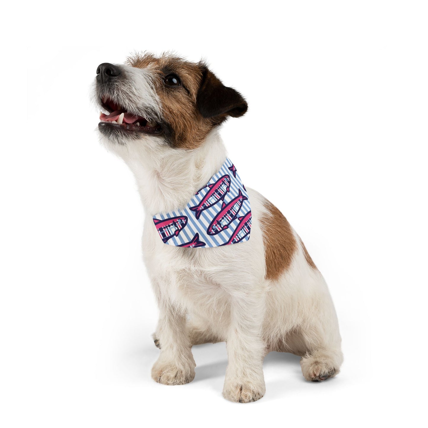 Plaid Sardines Pet Bandana Collar