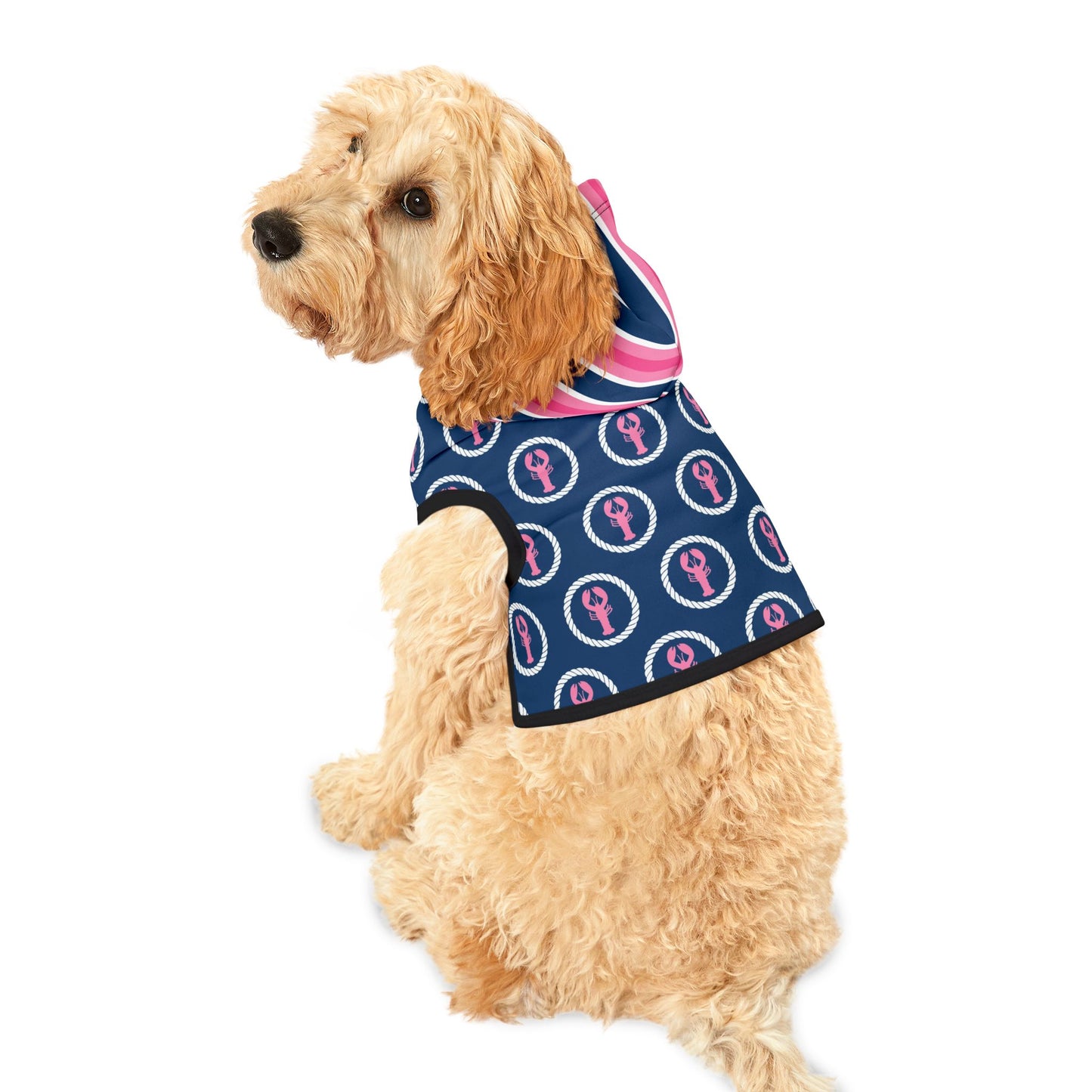 Preppy Lobster Pet Hoodie