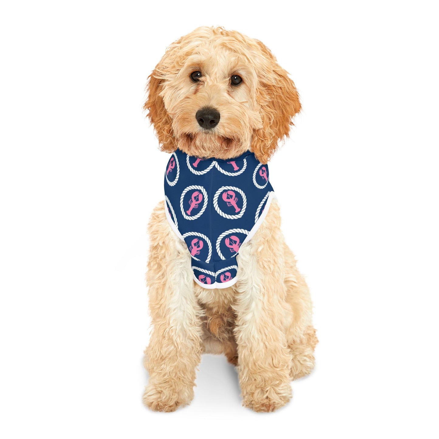 Preppy Lobster Pet Hoodie