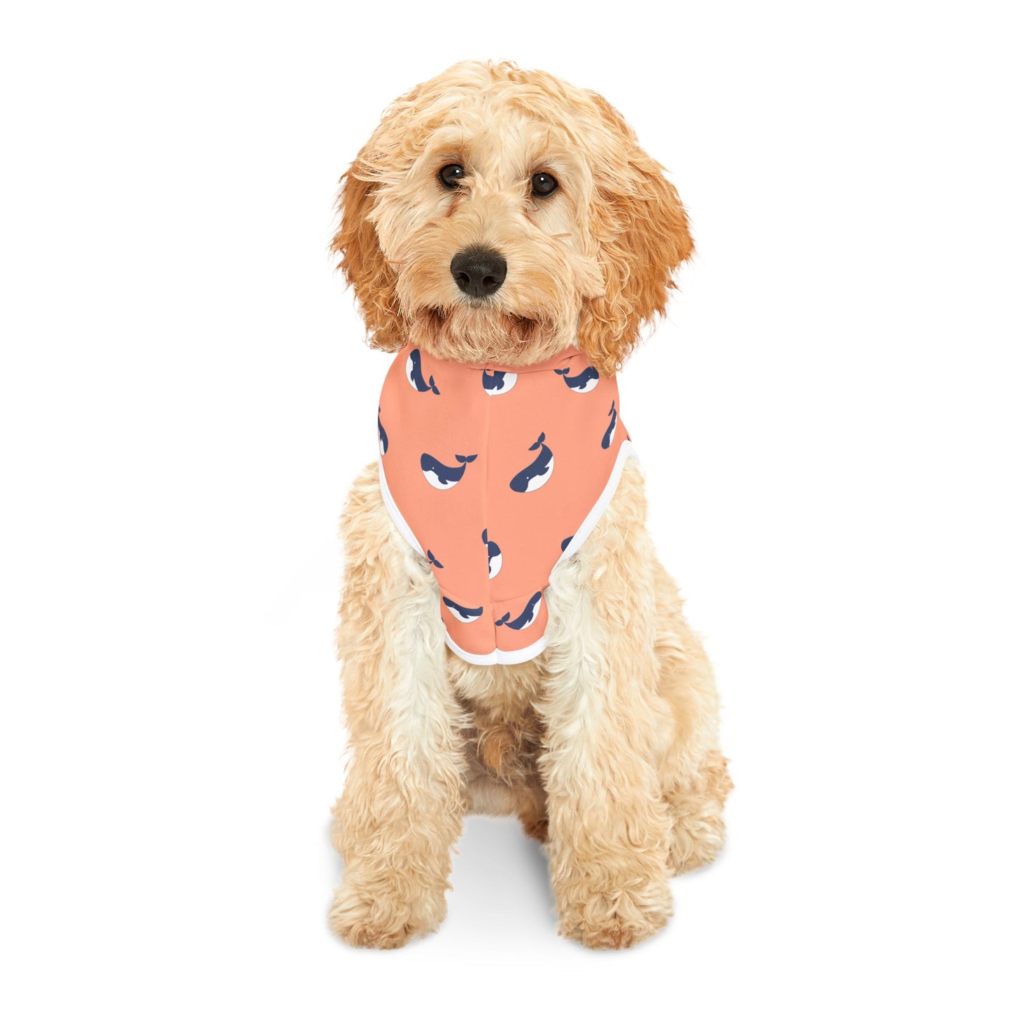 Whimsical Whales Pet Hoodie