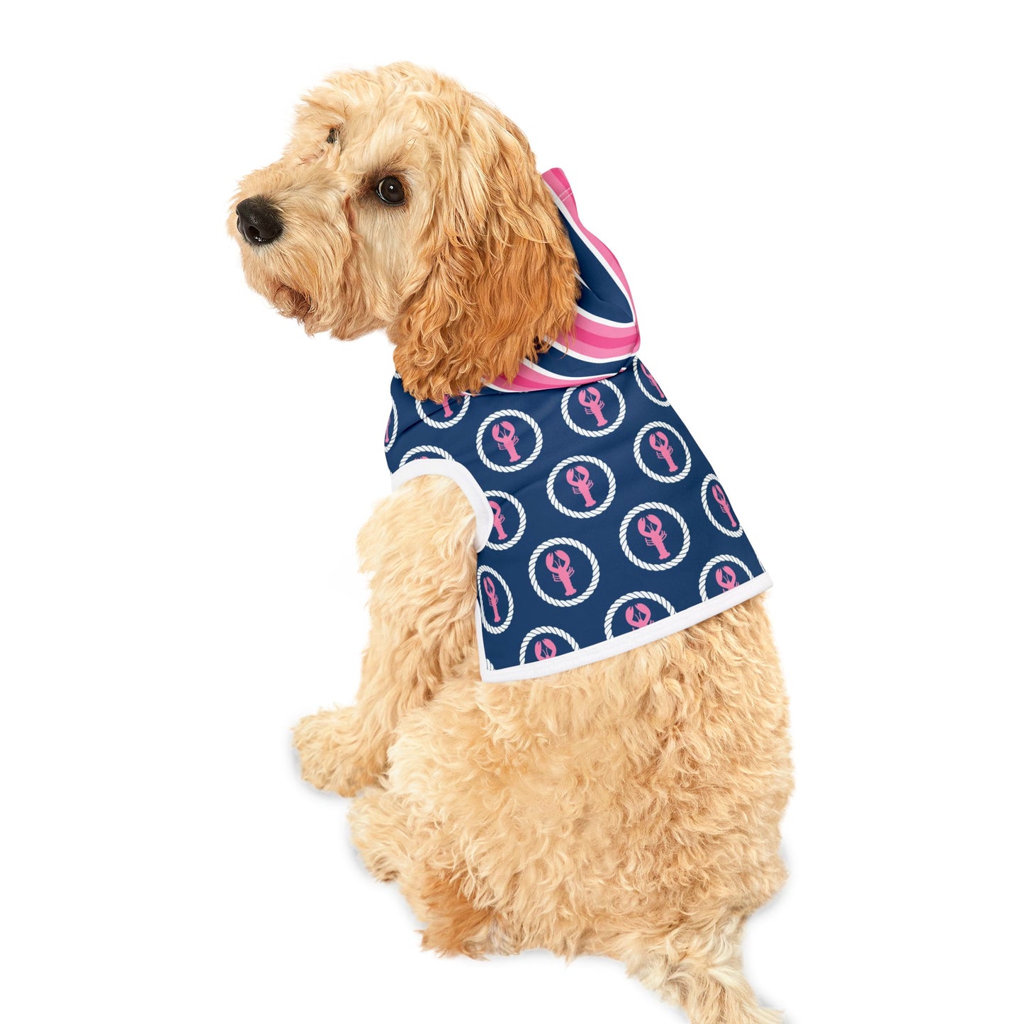 Preppy Lobster Pet Hoodie
