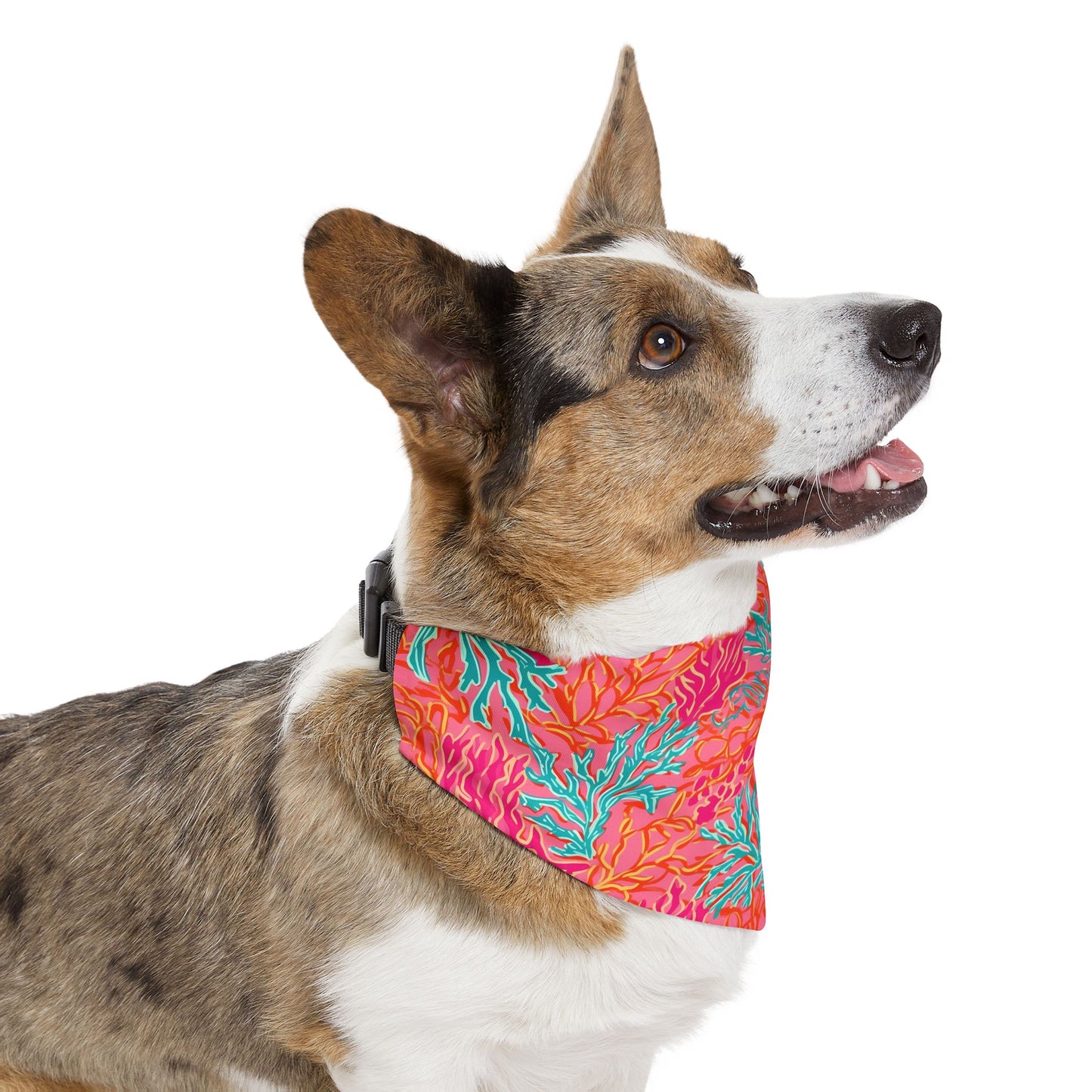 Coral Pet Bandana Collar