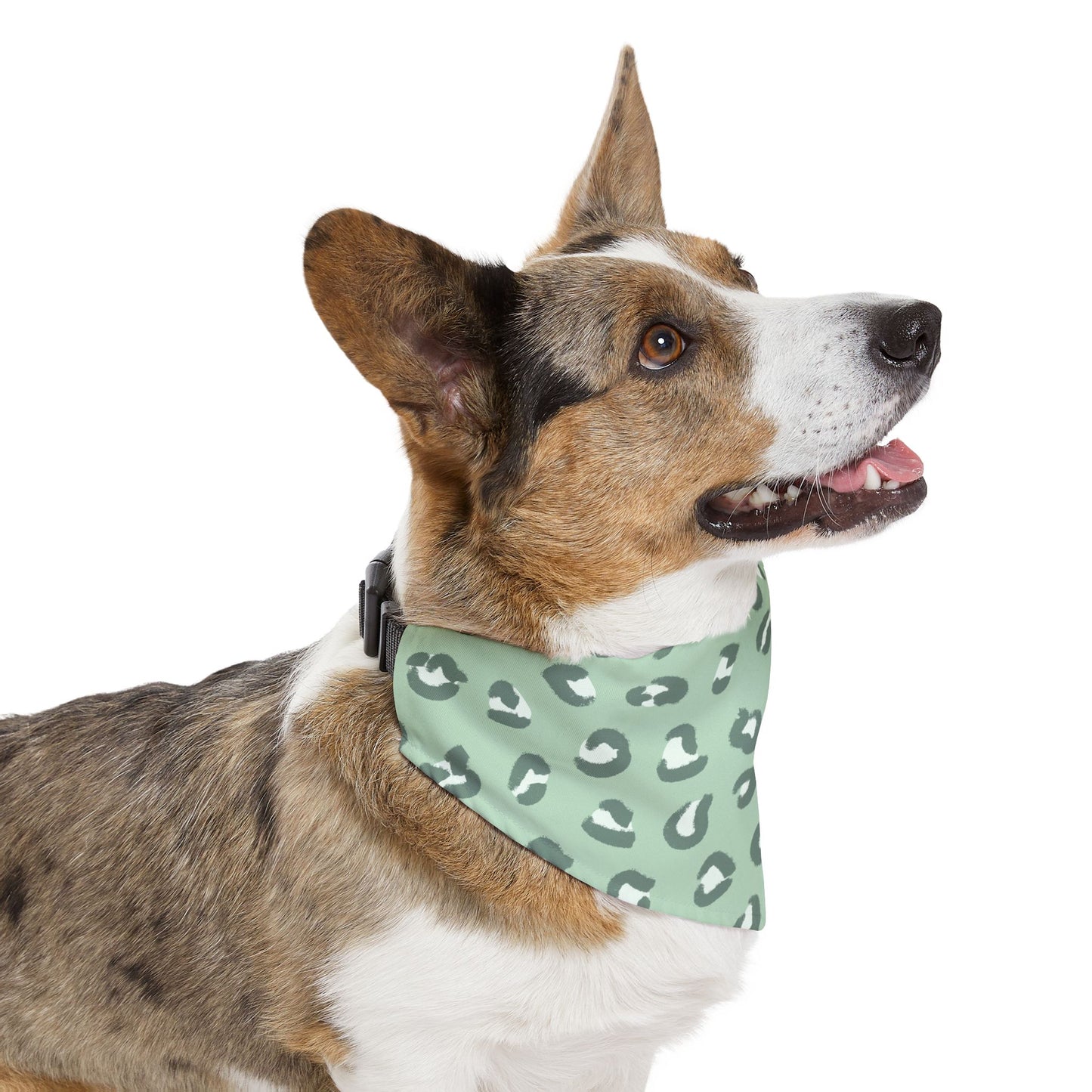 Pastel Leopard Pet Bandana Collar