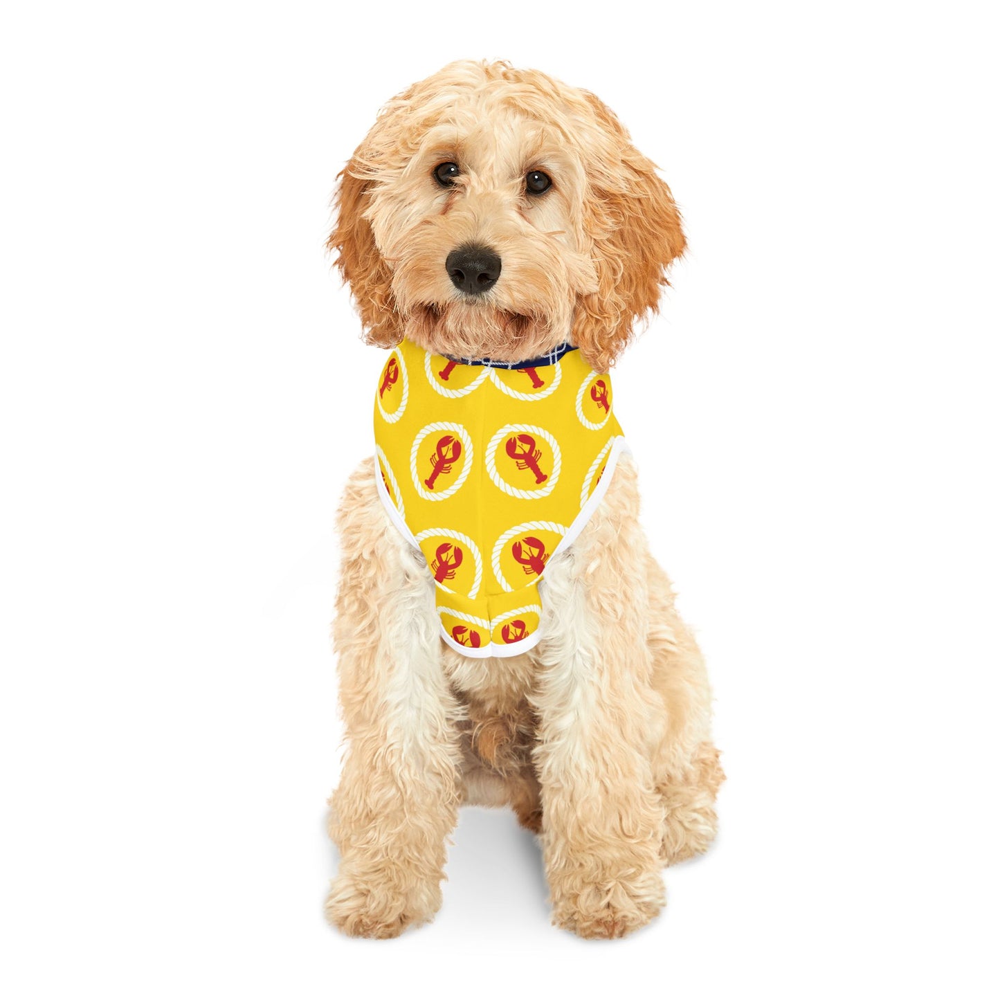 Lobster Bay Pet Hoodie