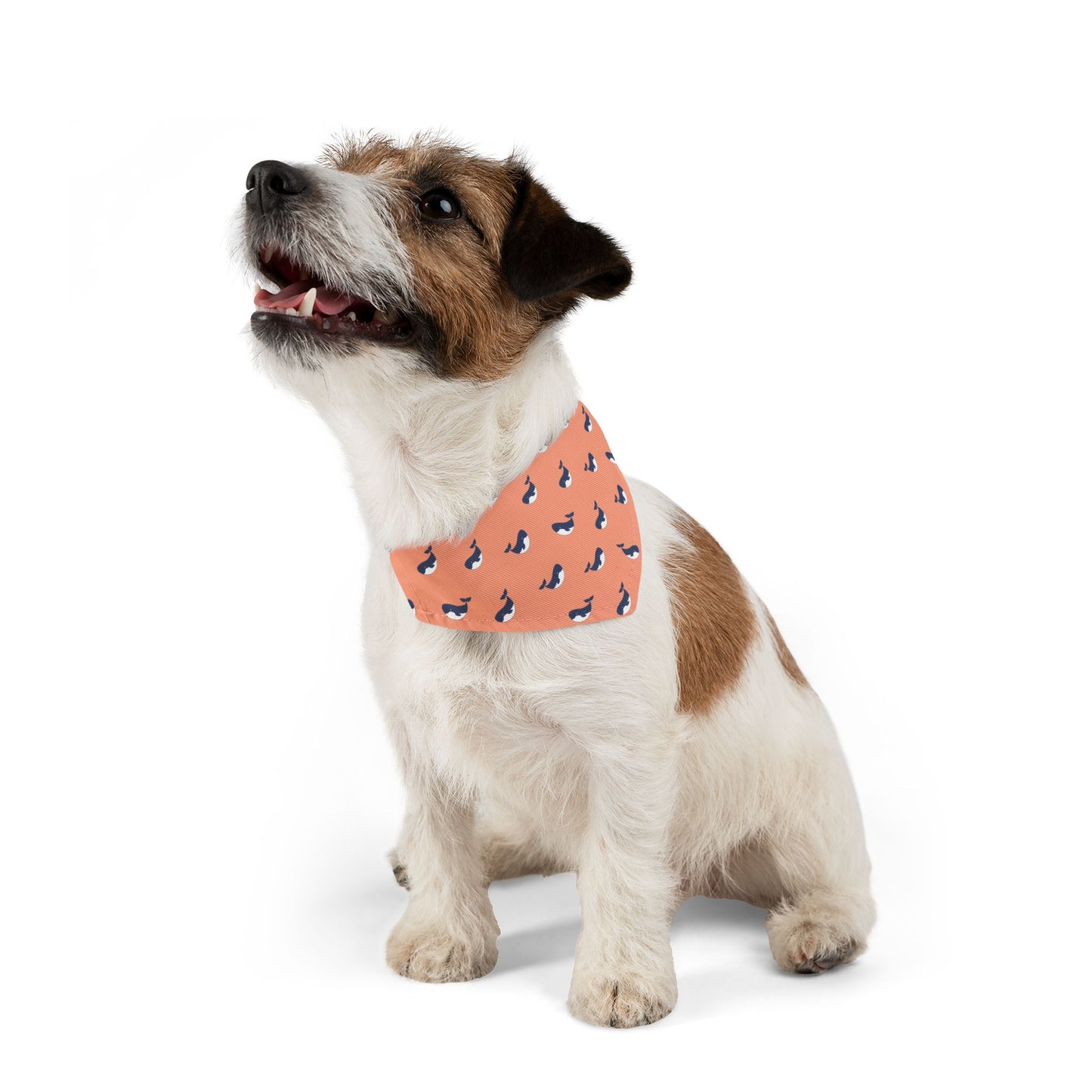 Whimsical Whales Pet Bandana Collar