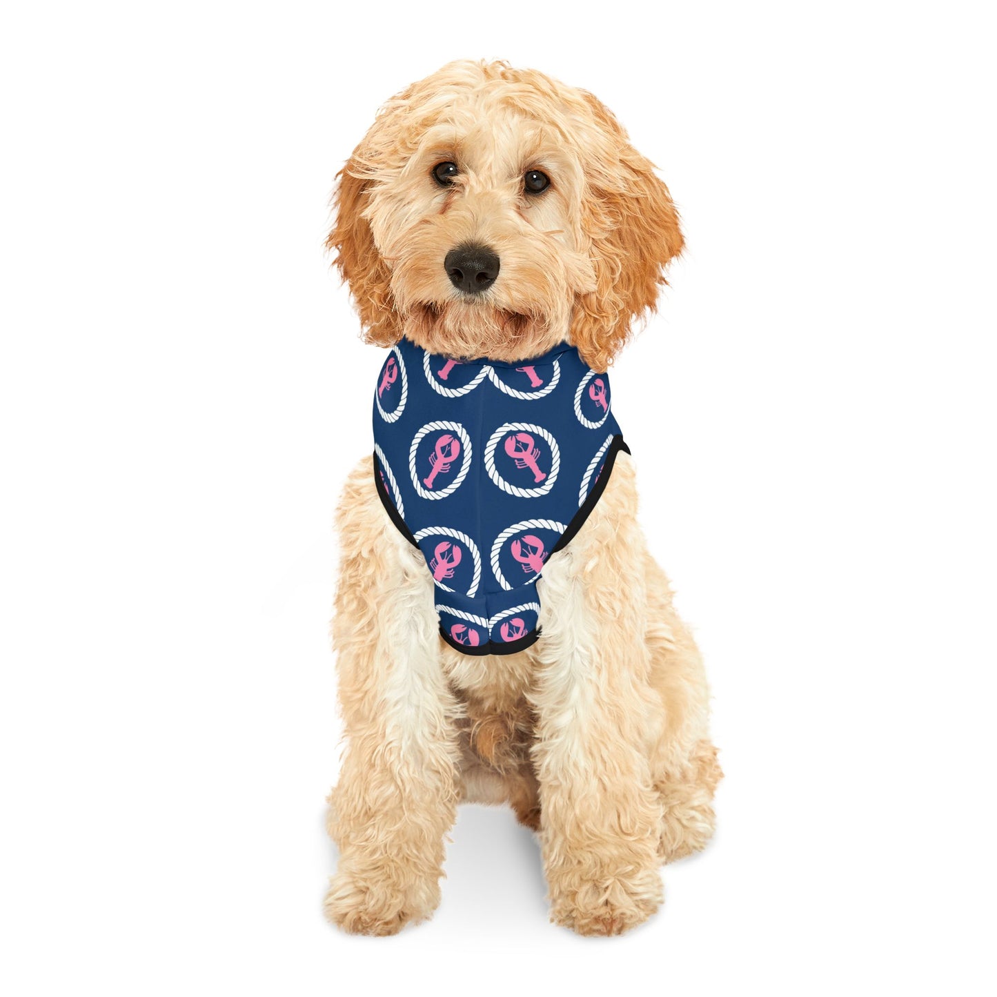 Preppy Lobster Pet Hoodie
