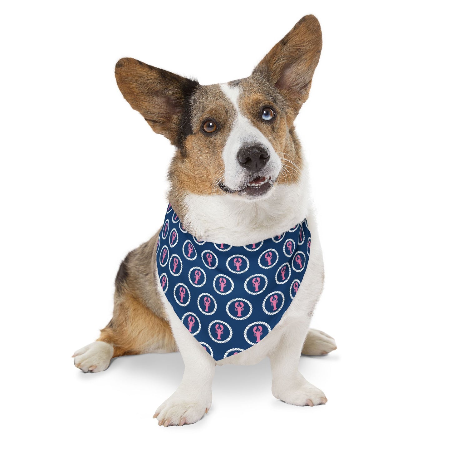 Preppy Lobster Pet Bandana Collar
