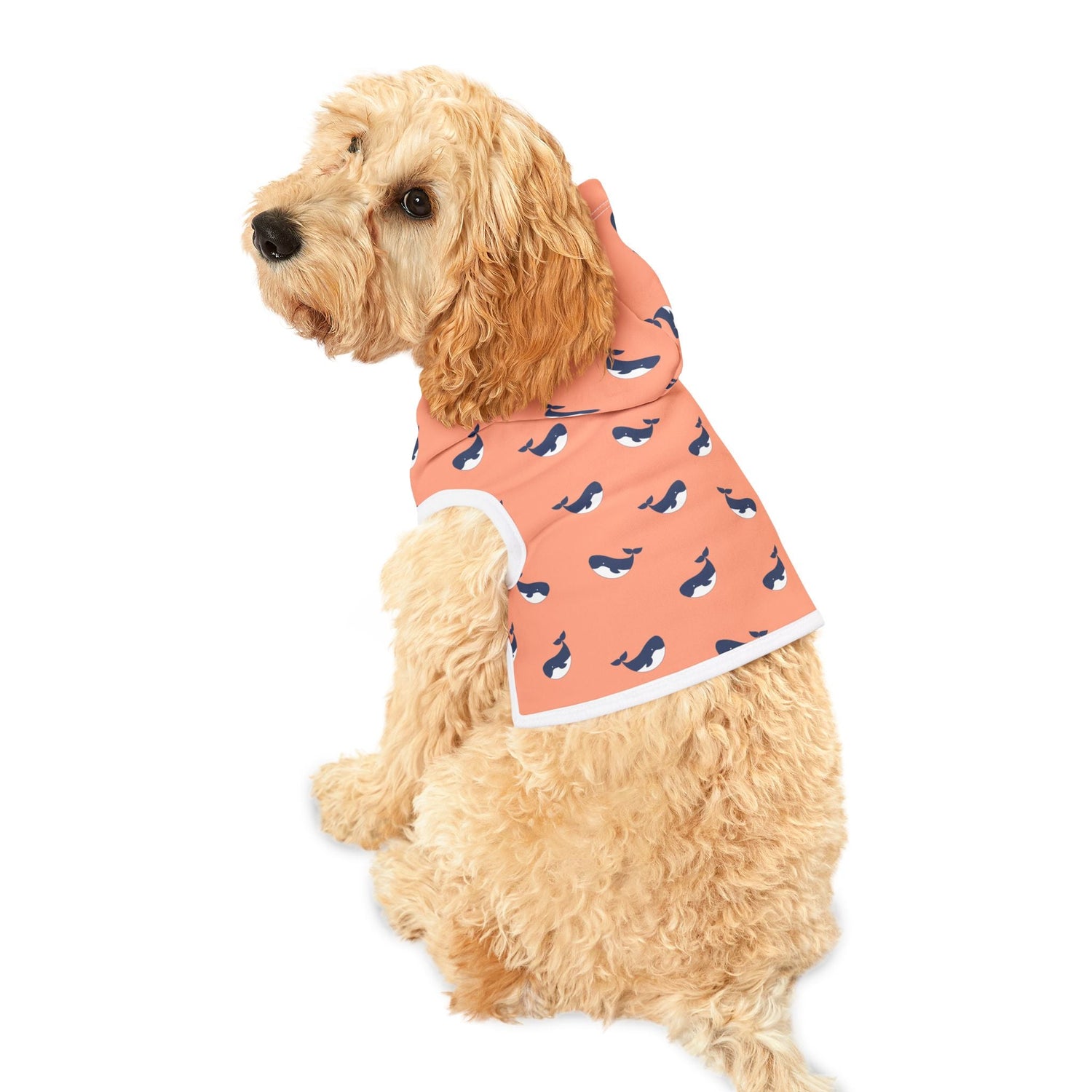 Pet Clothing