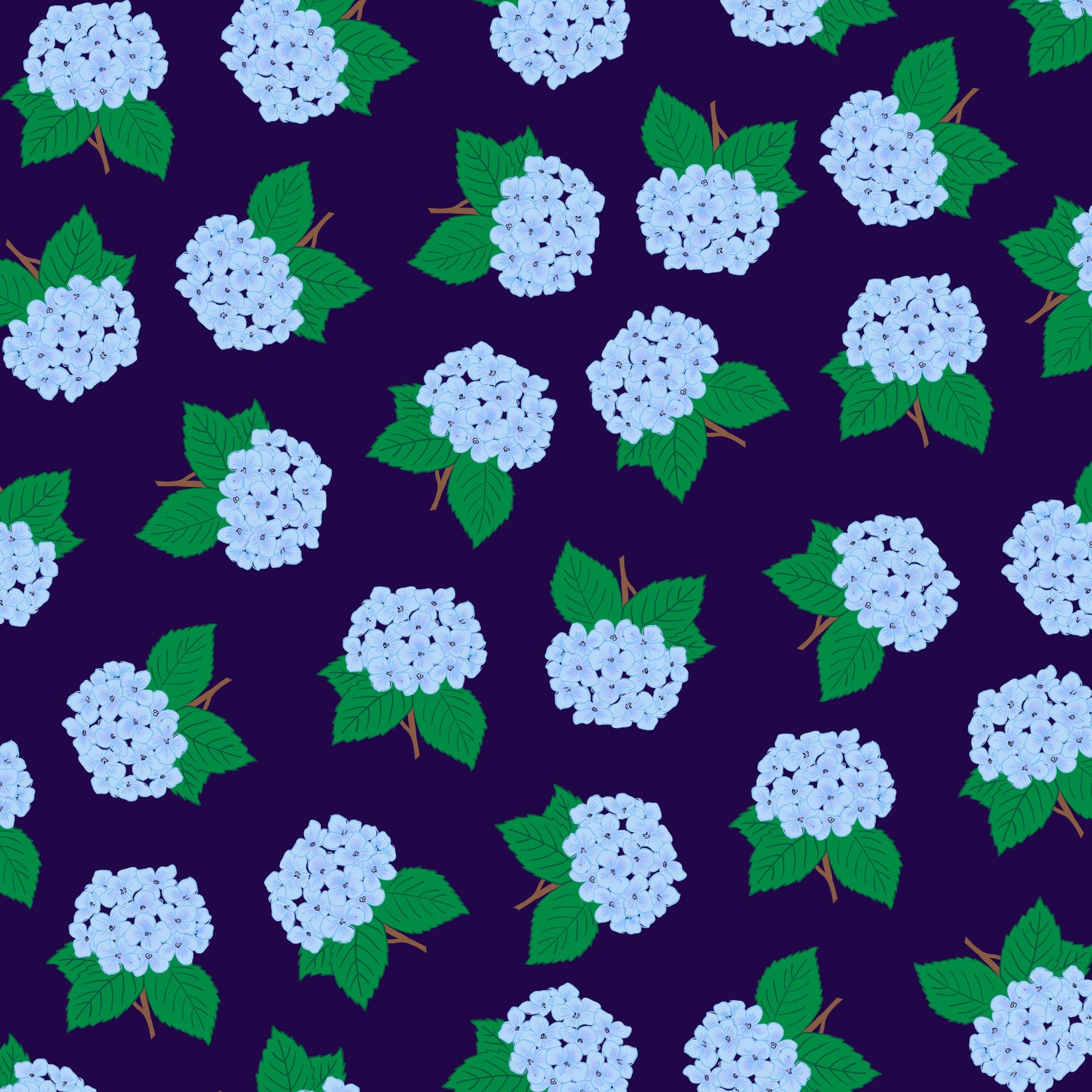 Hydrangea
