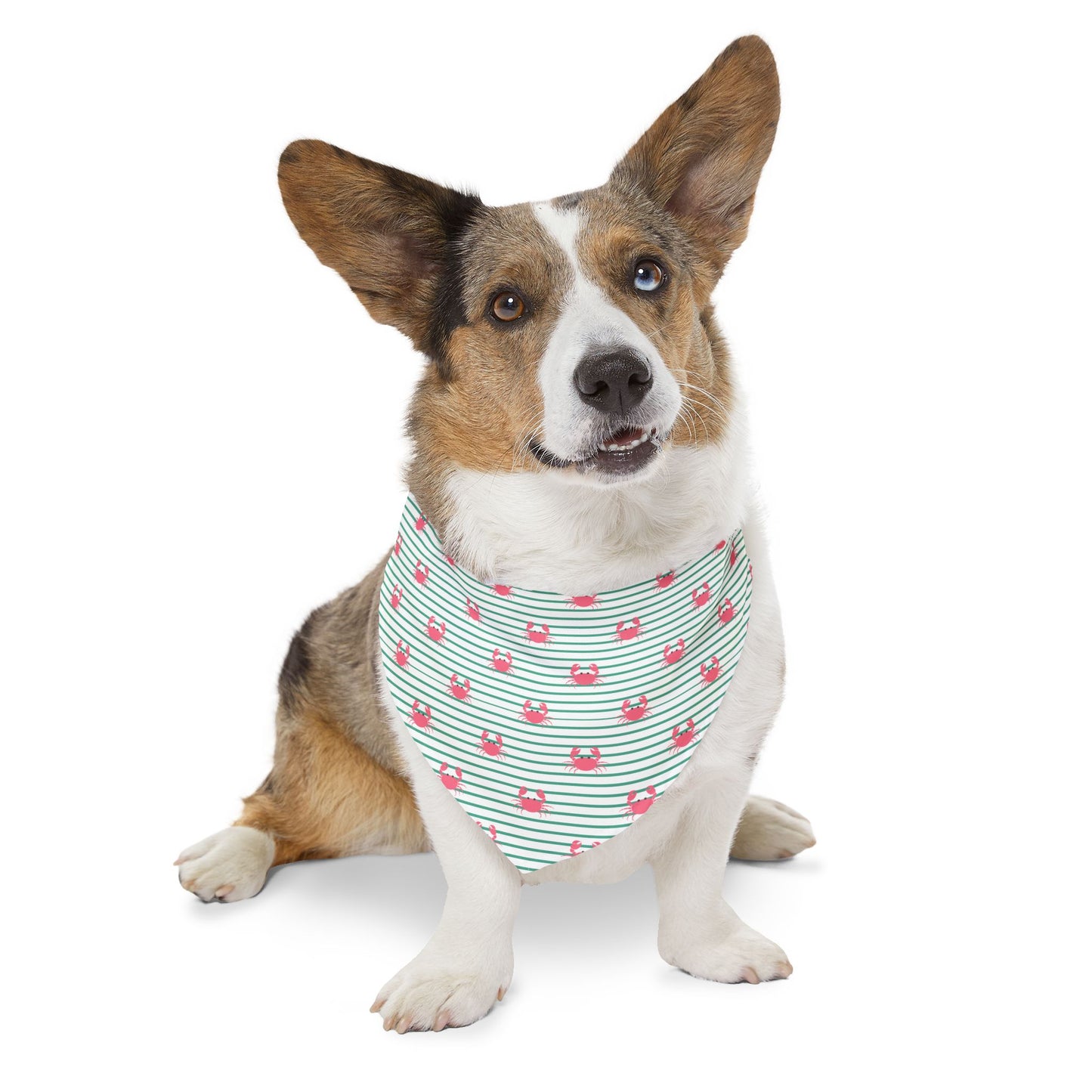 Cute Crabs Pet Bandana Collar