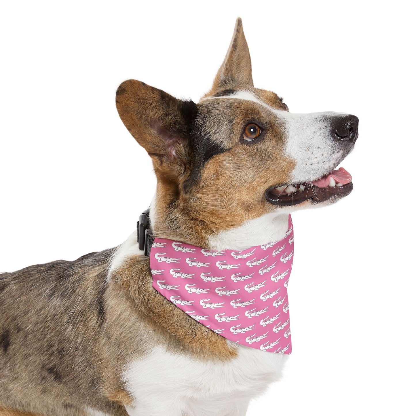 Pink Gators Pet Bandana Collar