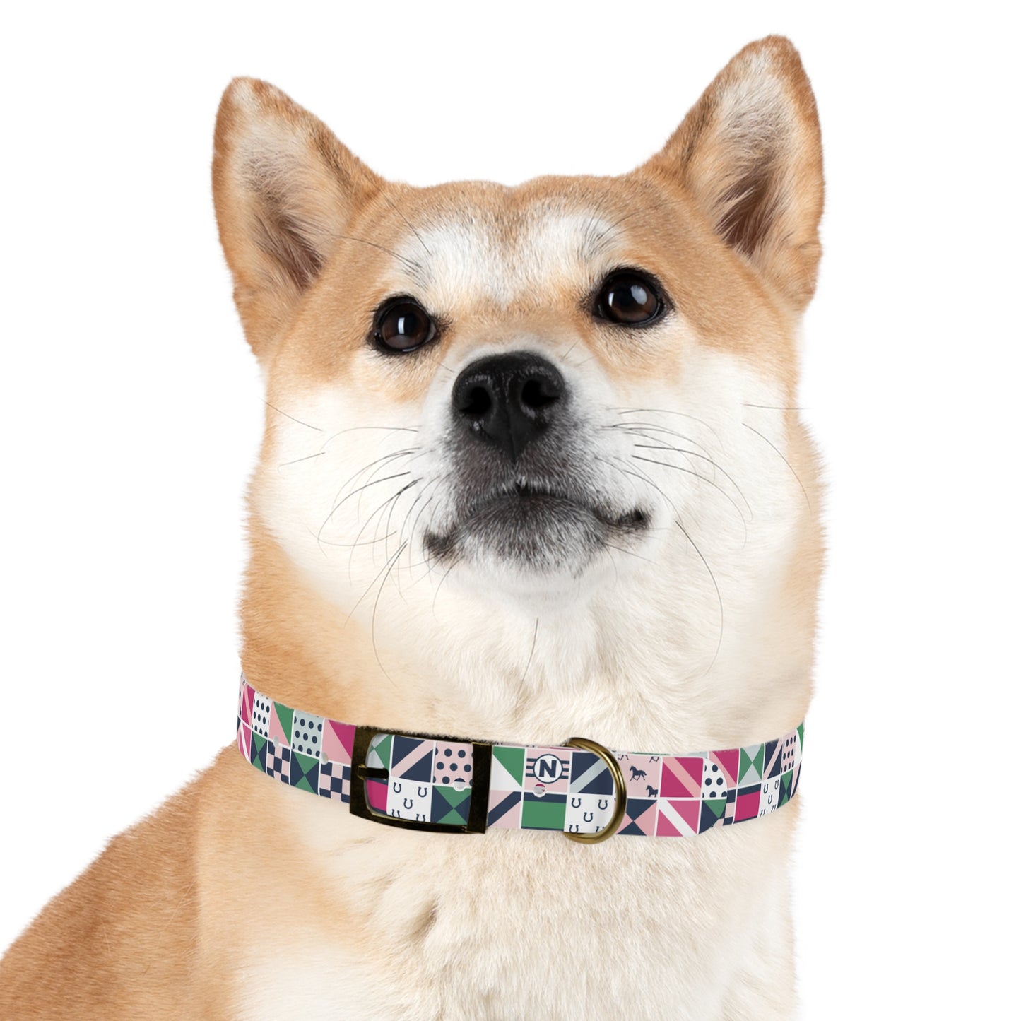 Equestrian Patchwork Dog Collar