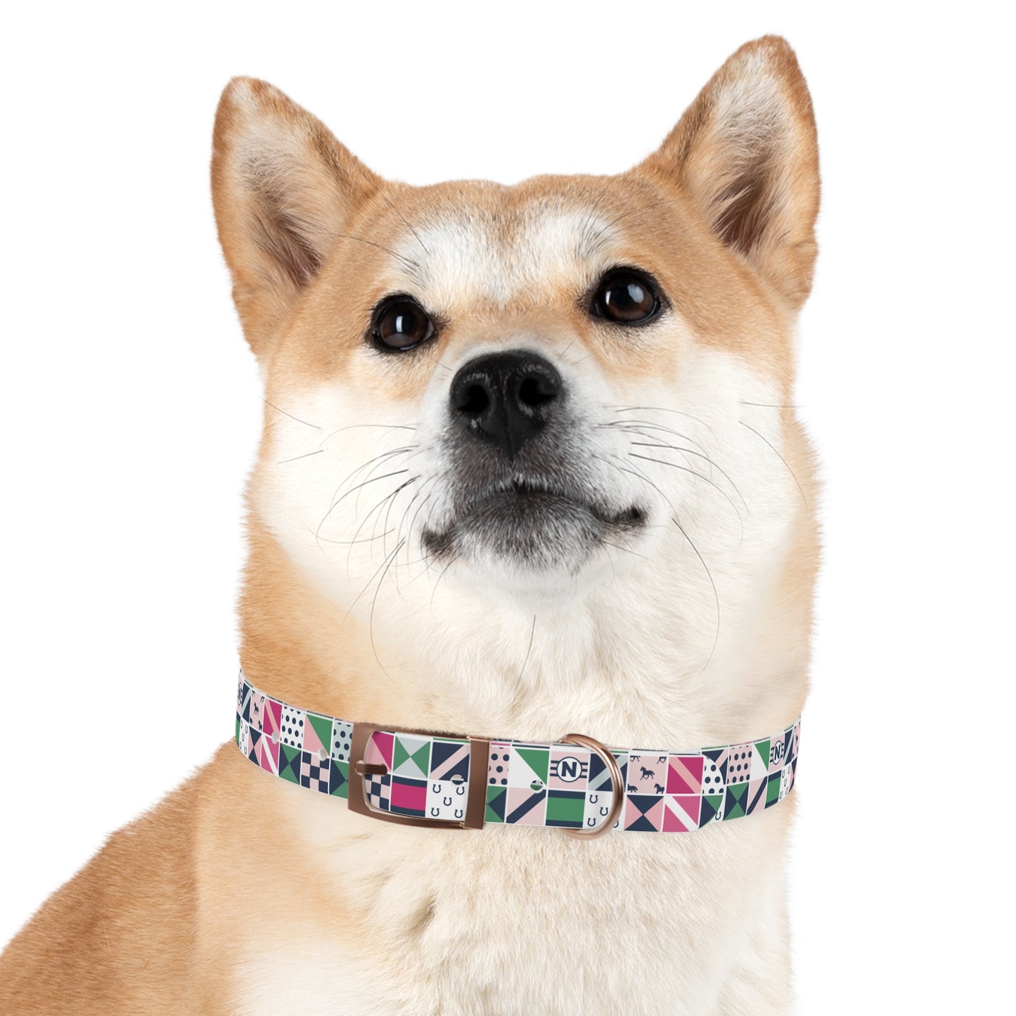 Equestrian Patchwork Dog Collar