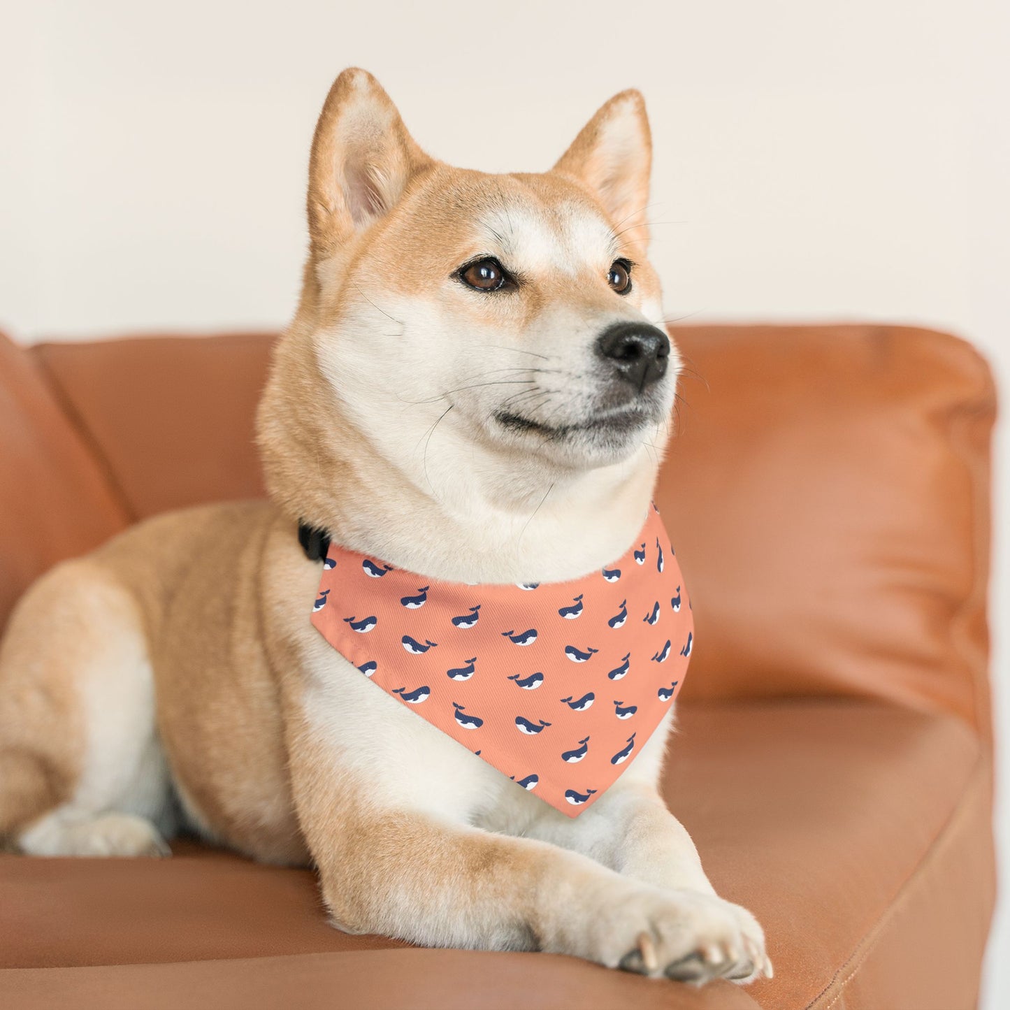 Whimsical Whales Pet Bandana Collar