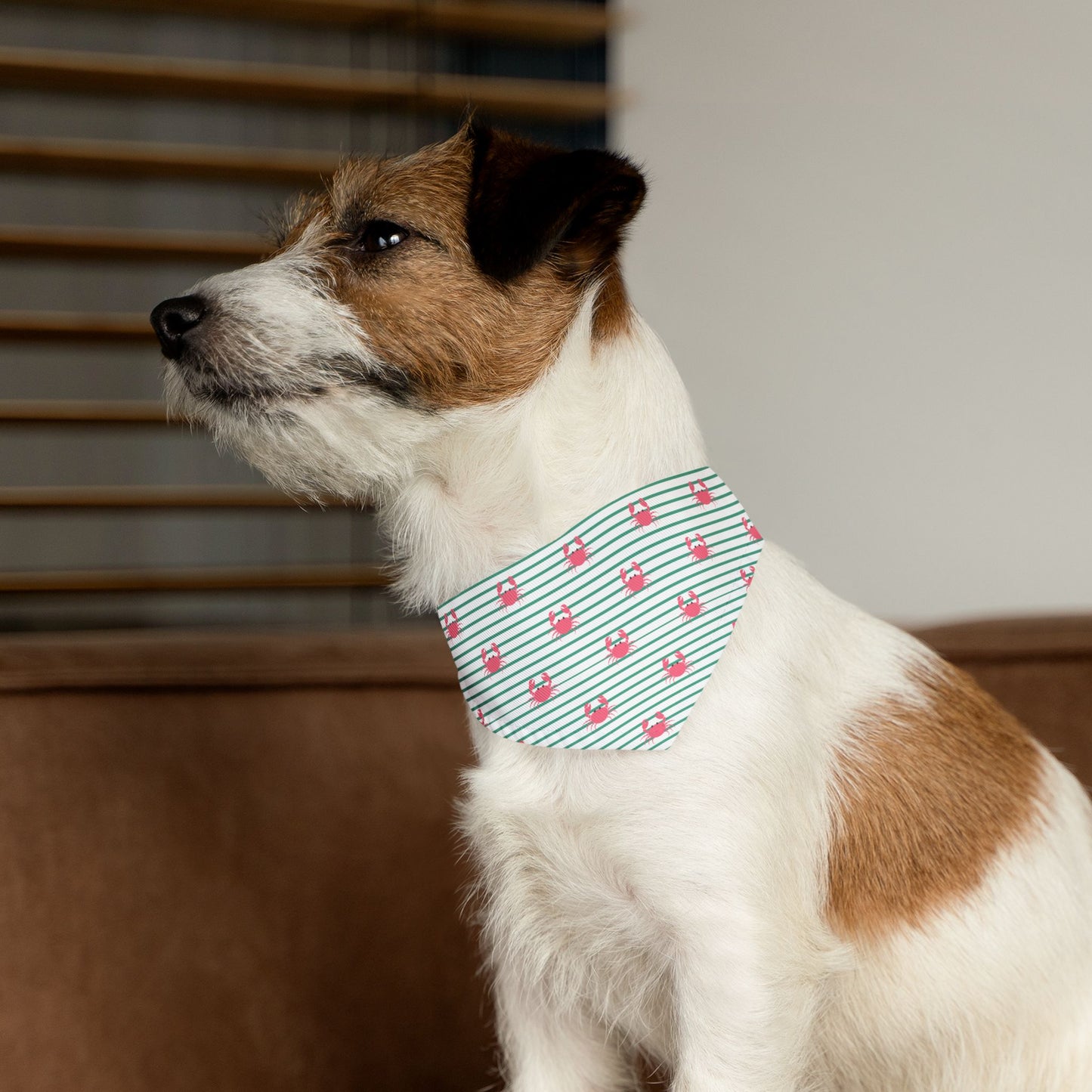 Cute Crabs Pet Bandana Collar