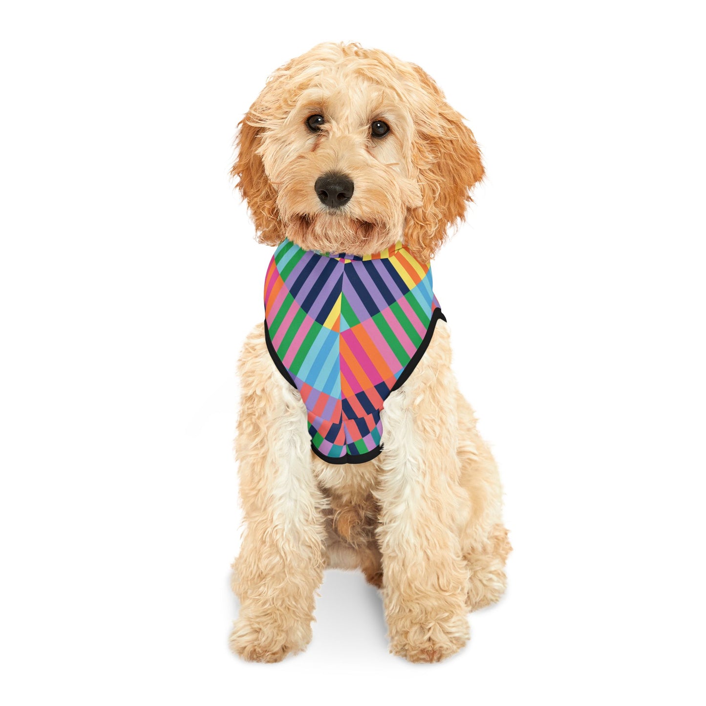 Color Blocks Pet Hoodie