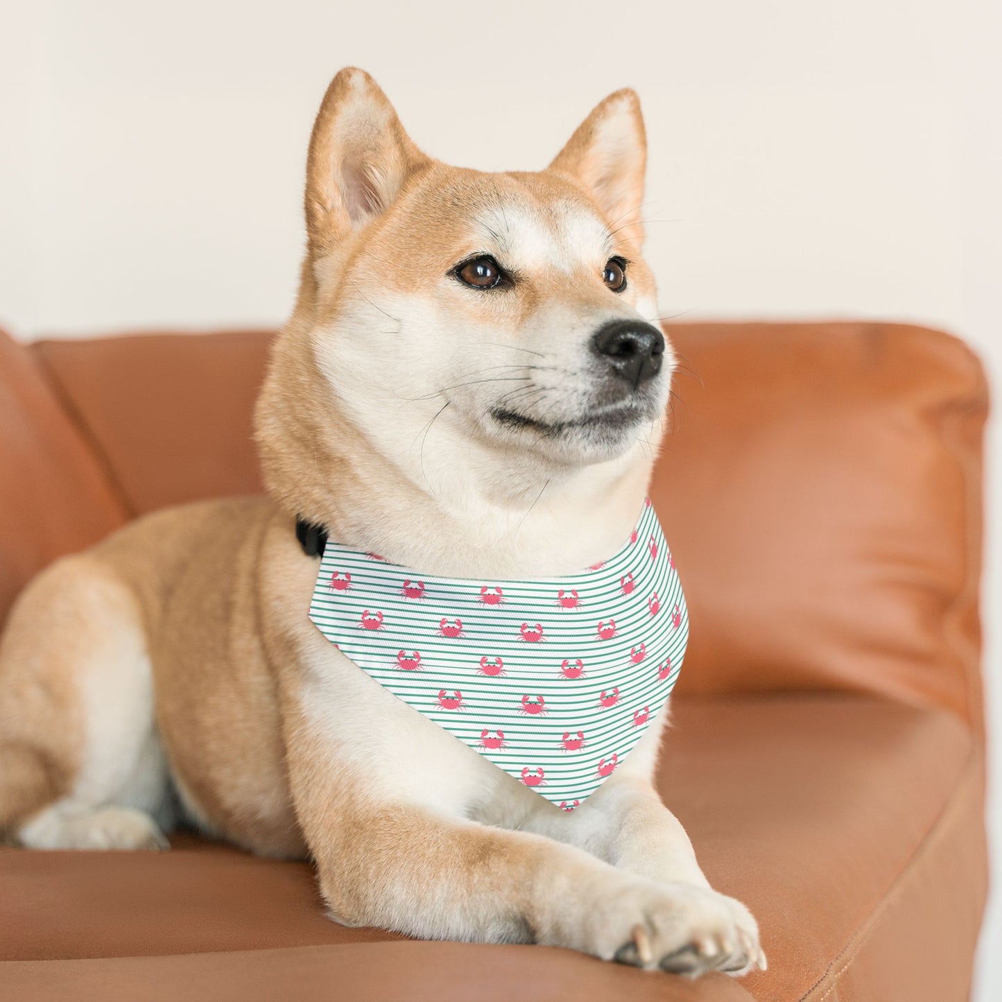 Cute Crabs Pet Bandana Collar