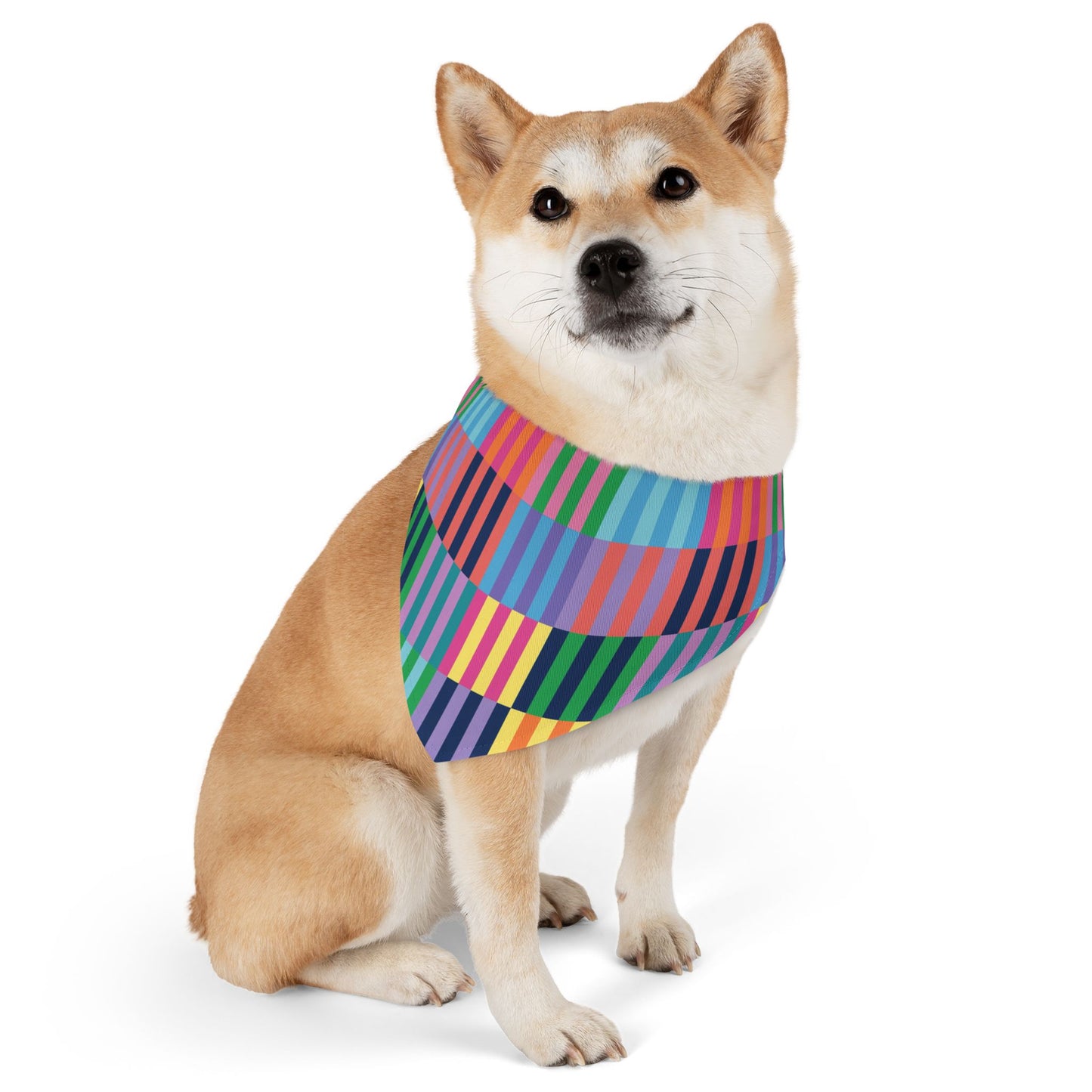 Color Blocks Pet Bandana Collar