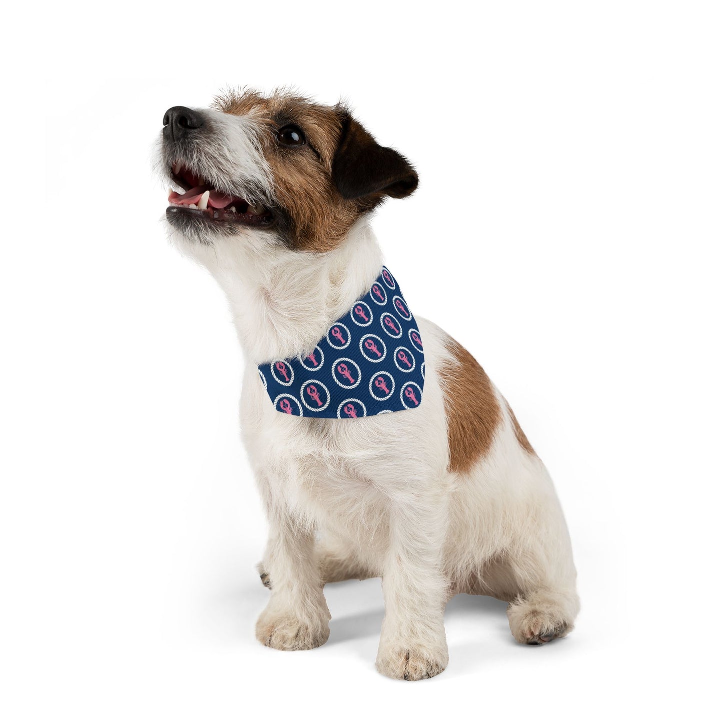 Preppy Lobster Pet Bandana Collar