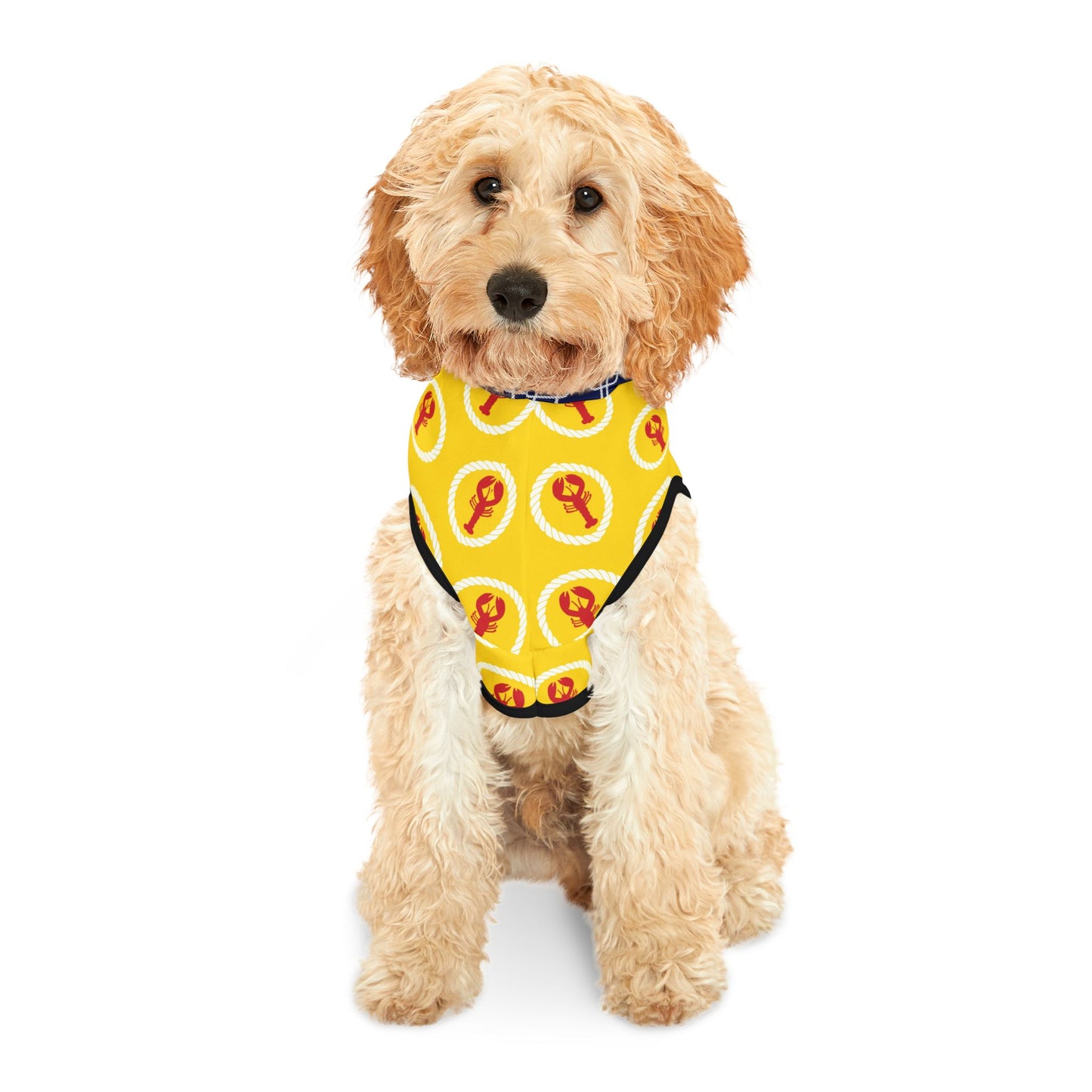 Lobster Bay Pet Hoodie