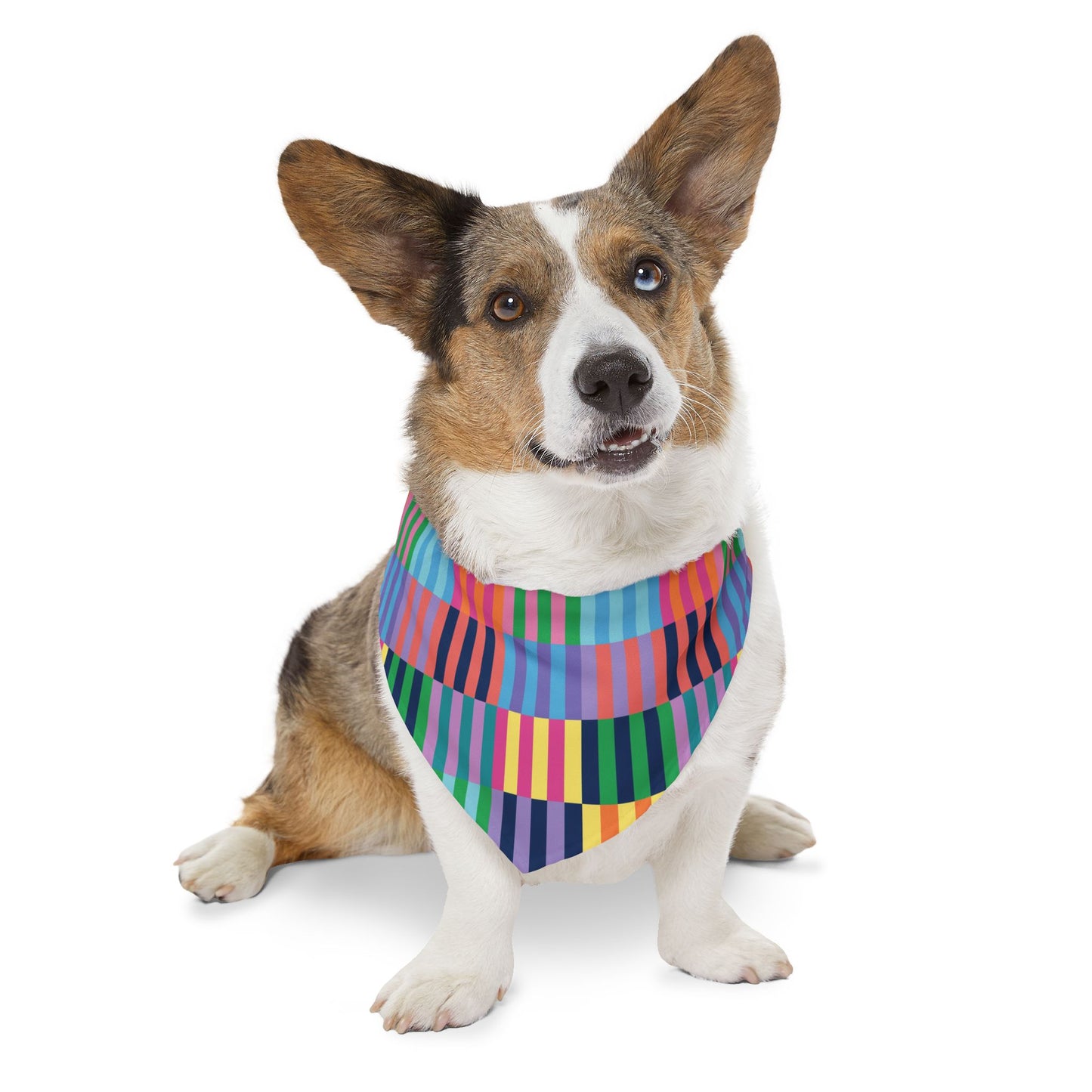 Color Blocks Pet Bandana Collar