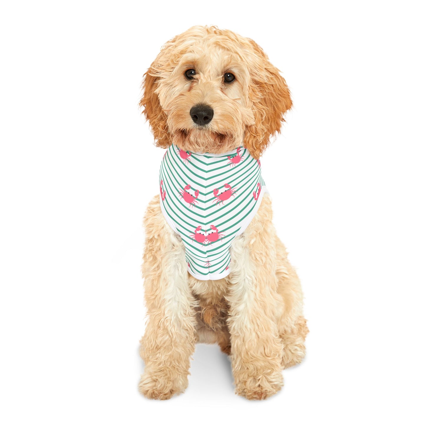 Cute Crabs Pet Hoodie