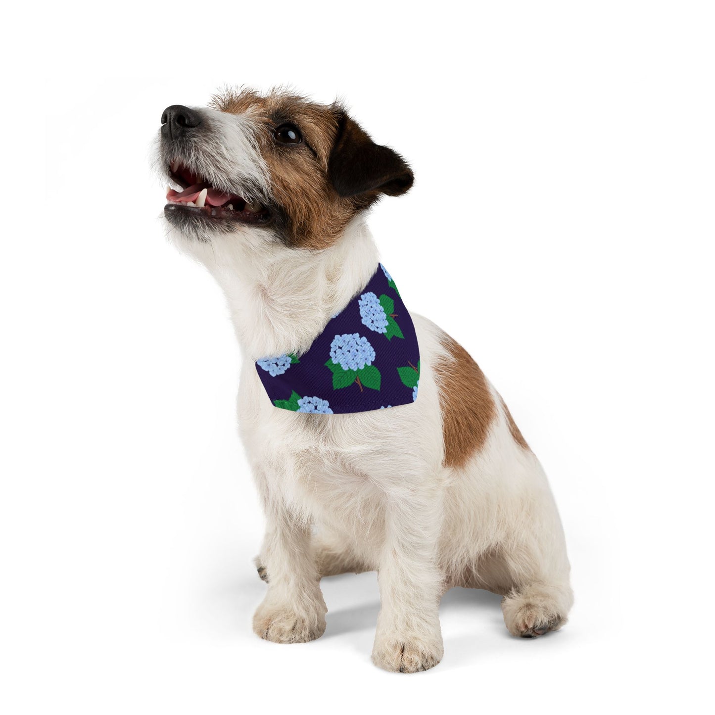 Hydrangea Pet Bandana Collar