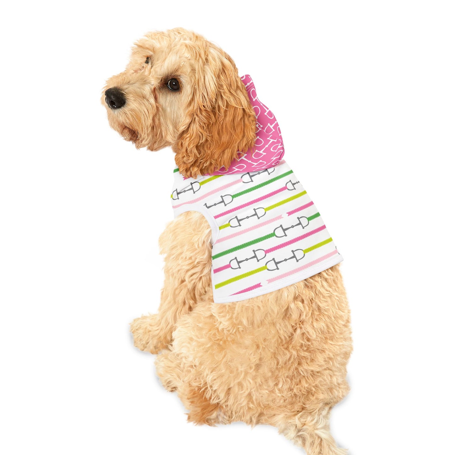 Equestrian Pet Hoodie