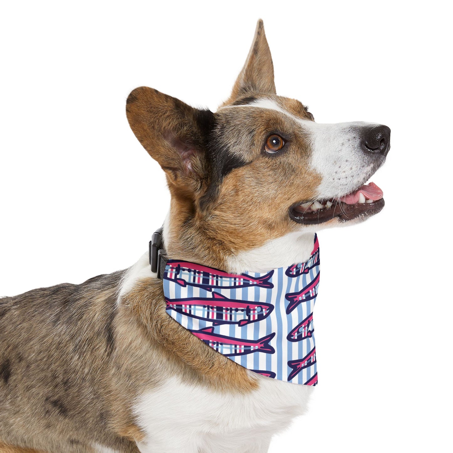 Plaid Sardines Pet Bandana Collar