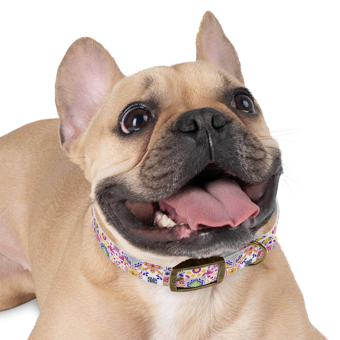 Tiled Dog Collar