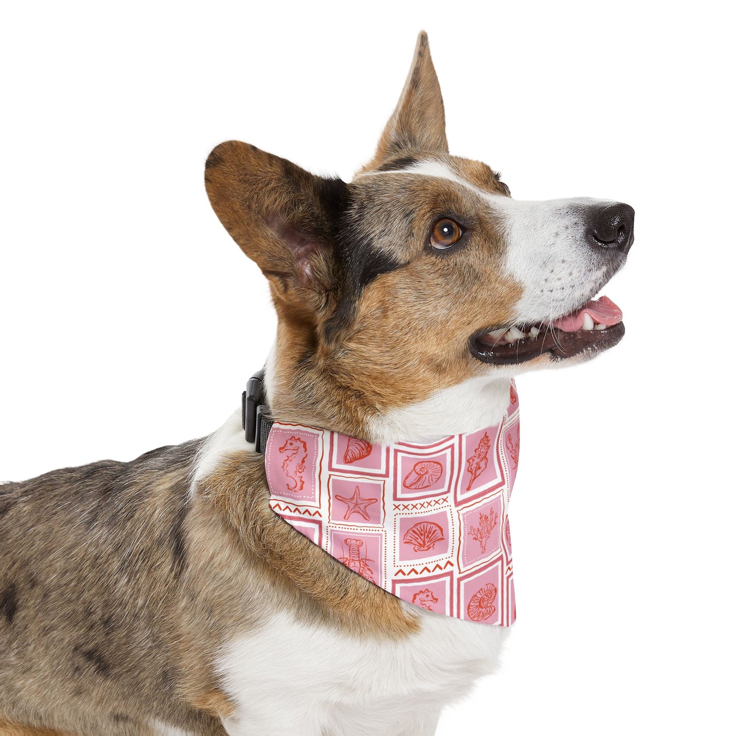 Marine Life Pet Bandana Collar