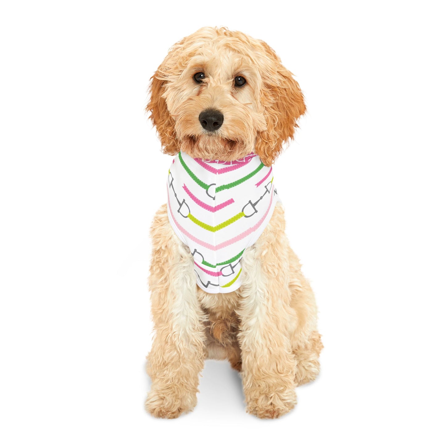 Equestrian Pet Hoodie