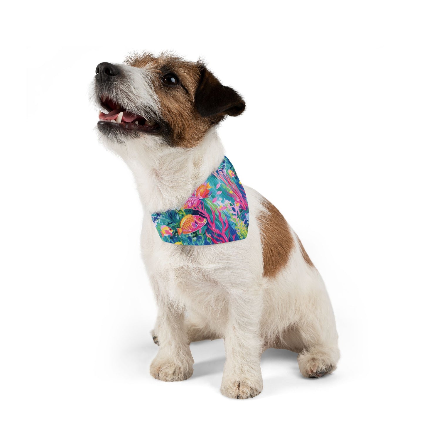 Watercolor Fish Pet Bandana Collar